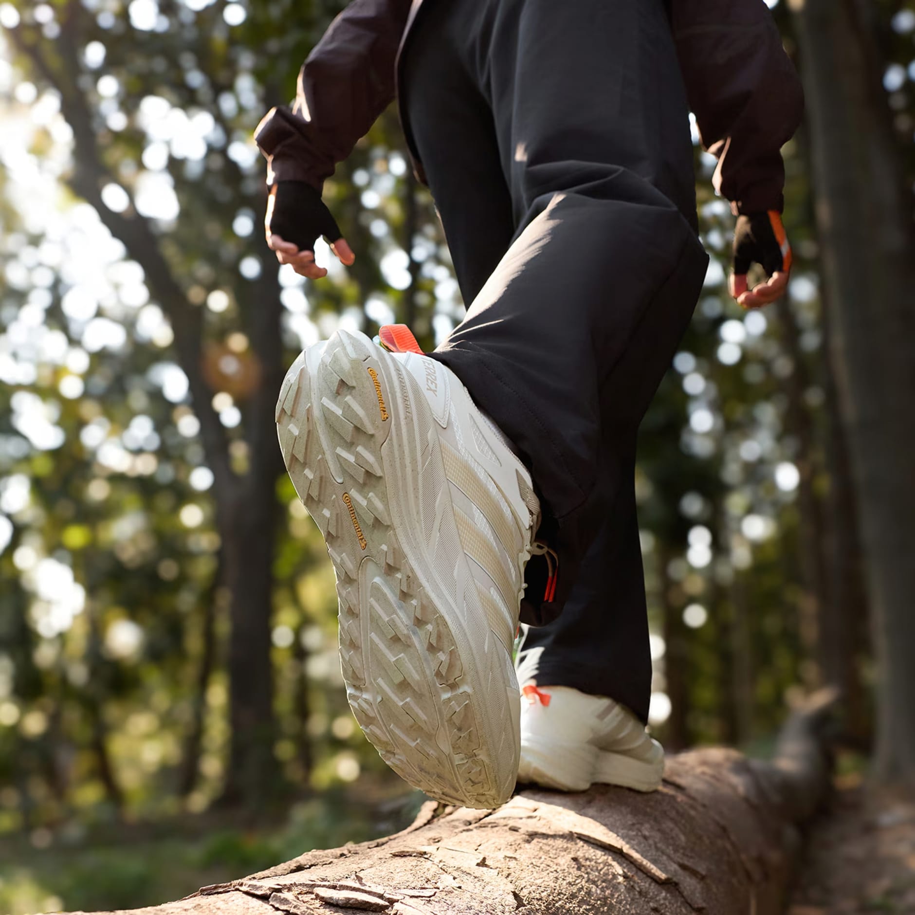 TERREX FREEHIKER LT Shoes