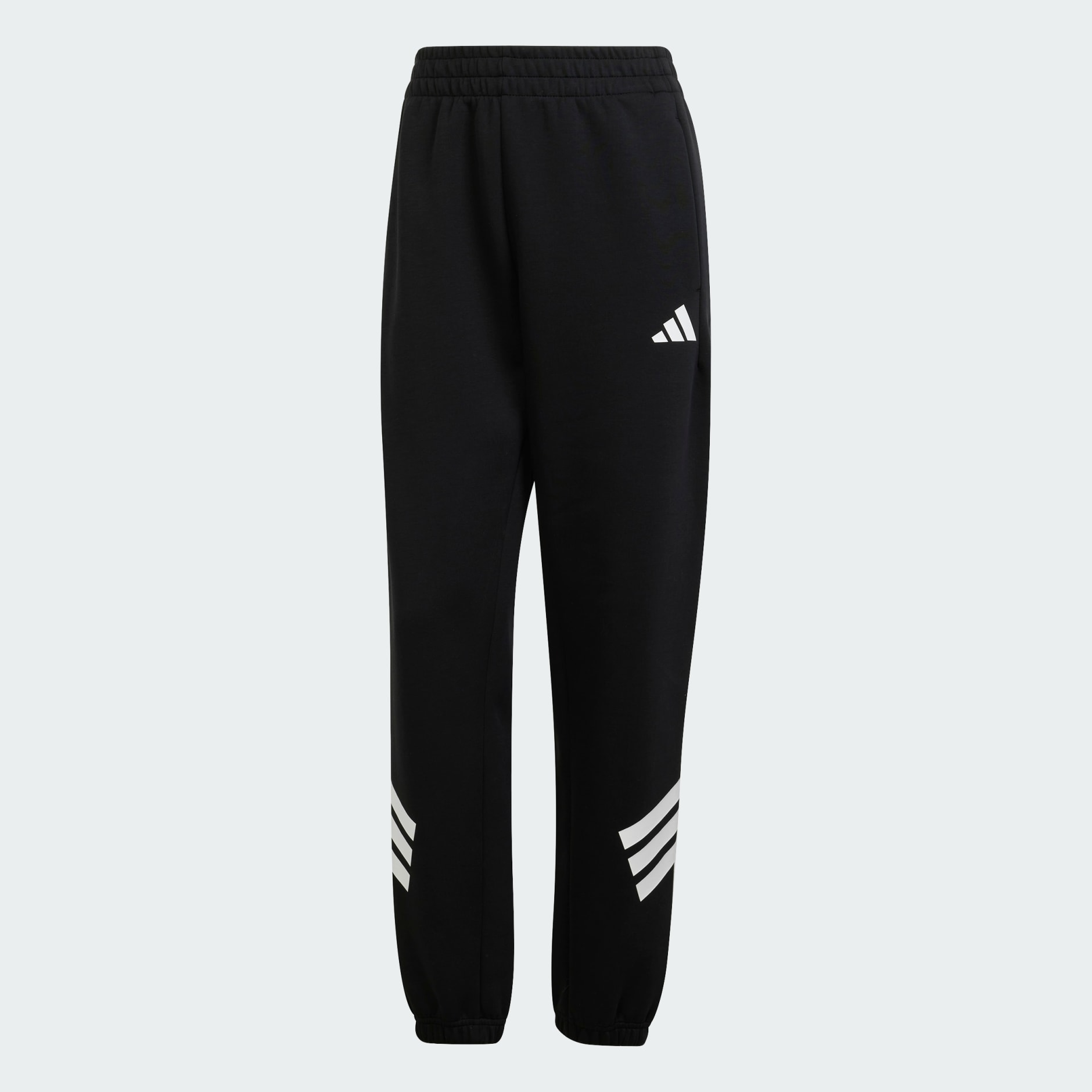 Future Icons 3-Stripes Pants
