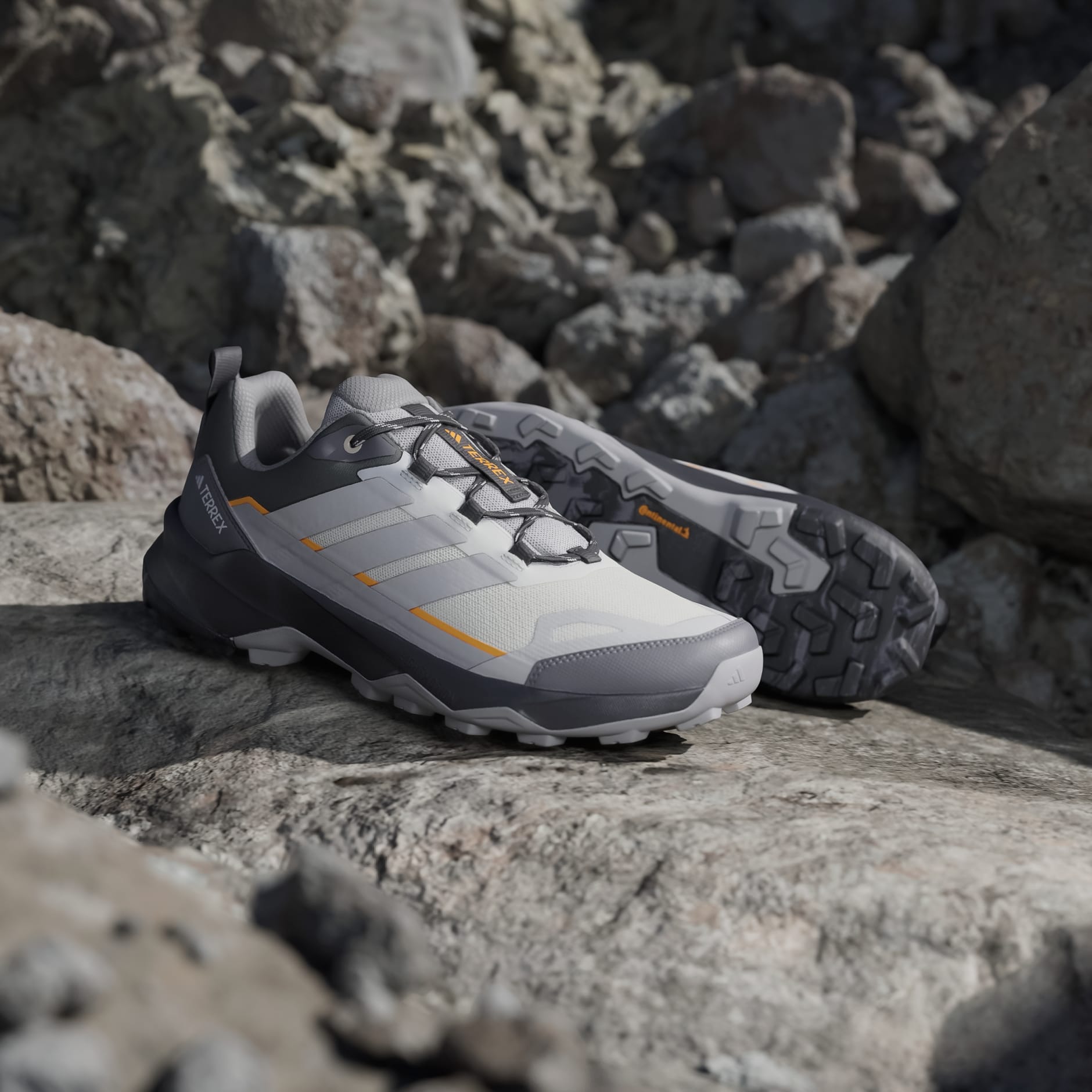 Planinarske cipele Terrex Skychaser Ax5