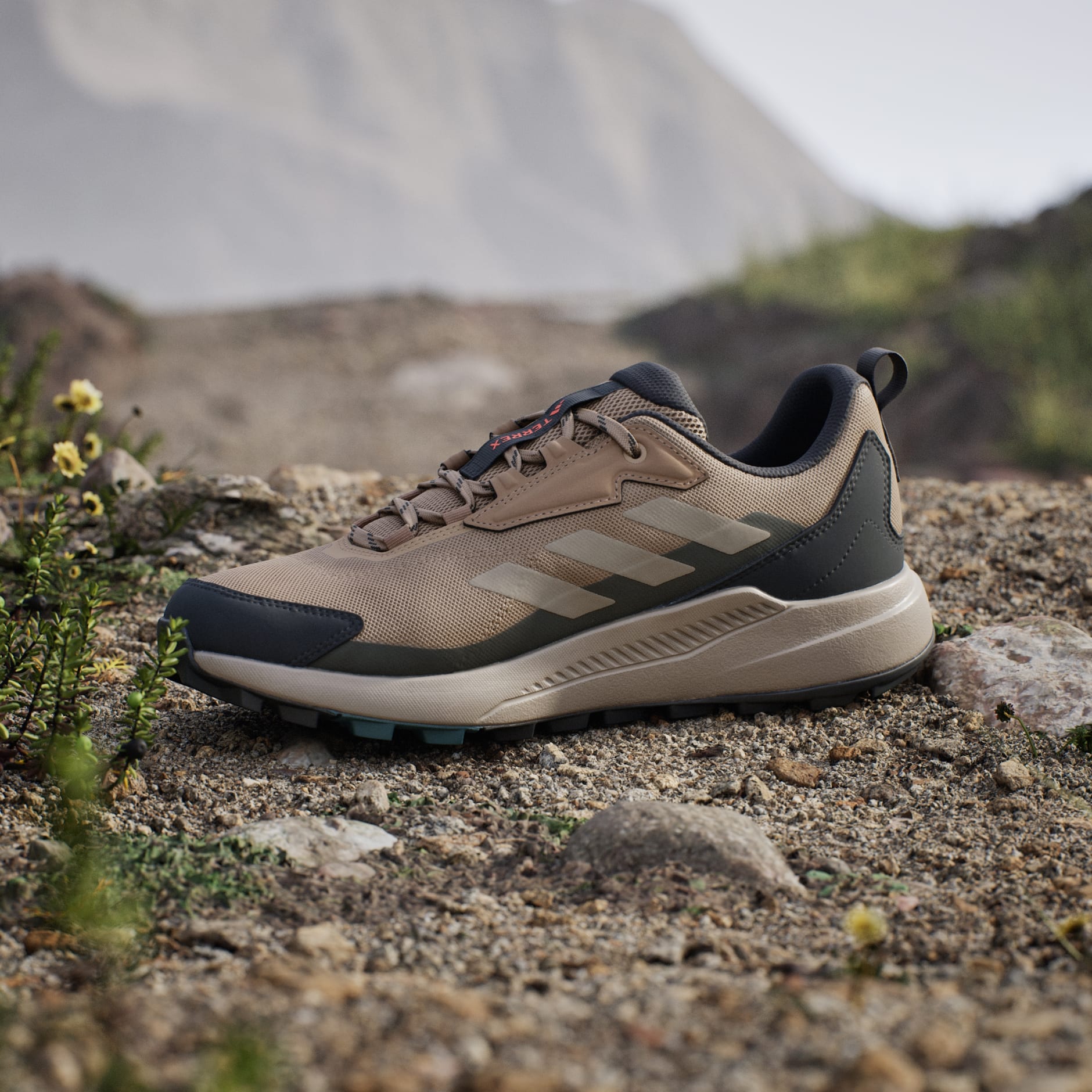 Terrex Anylander Hiking Shoes