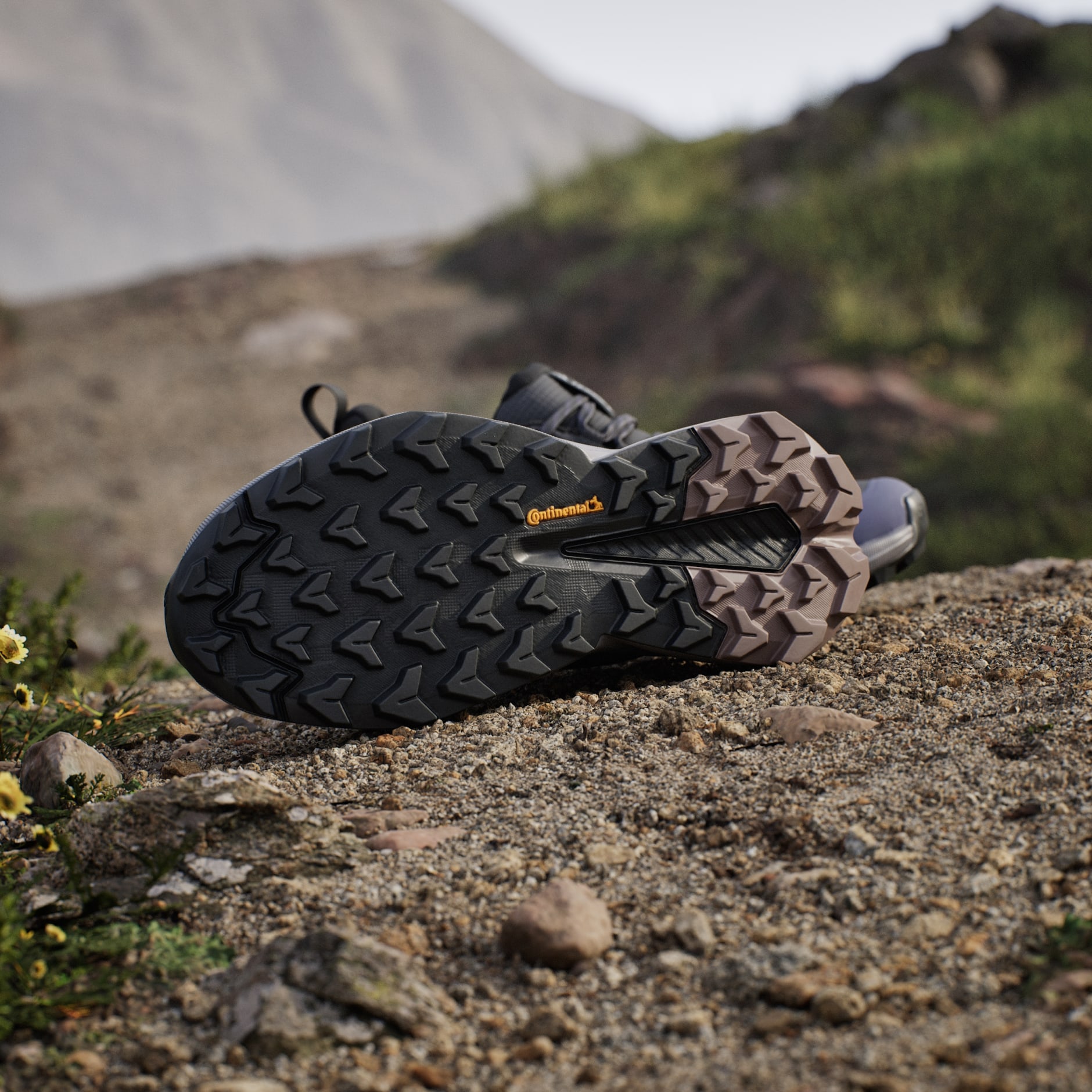 Pantofi de drumeție Terrex Trailmaker 2.0 GORE-TEX