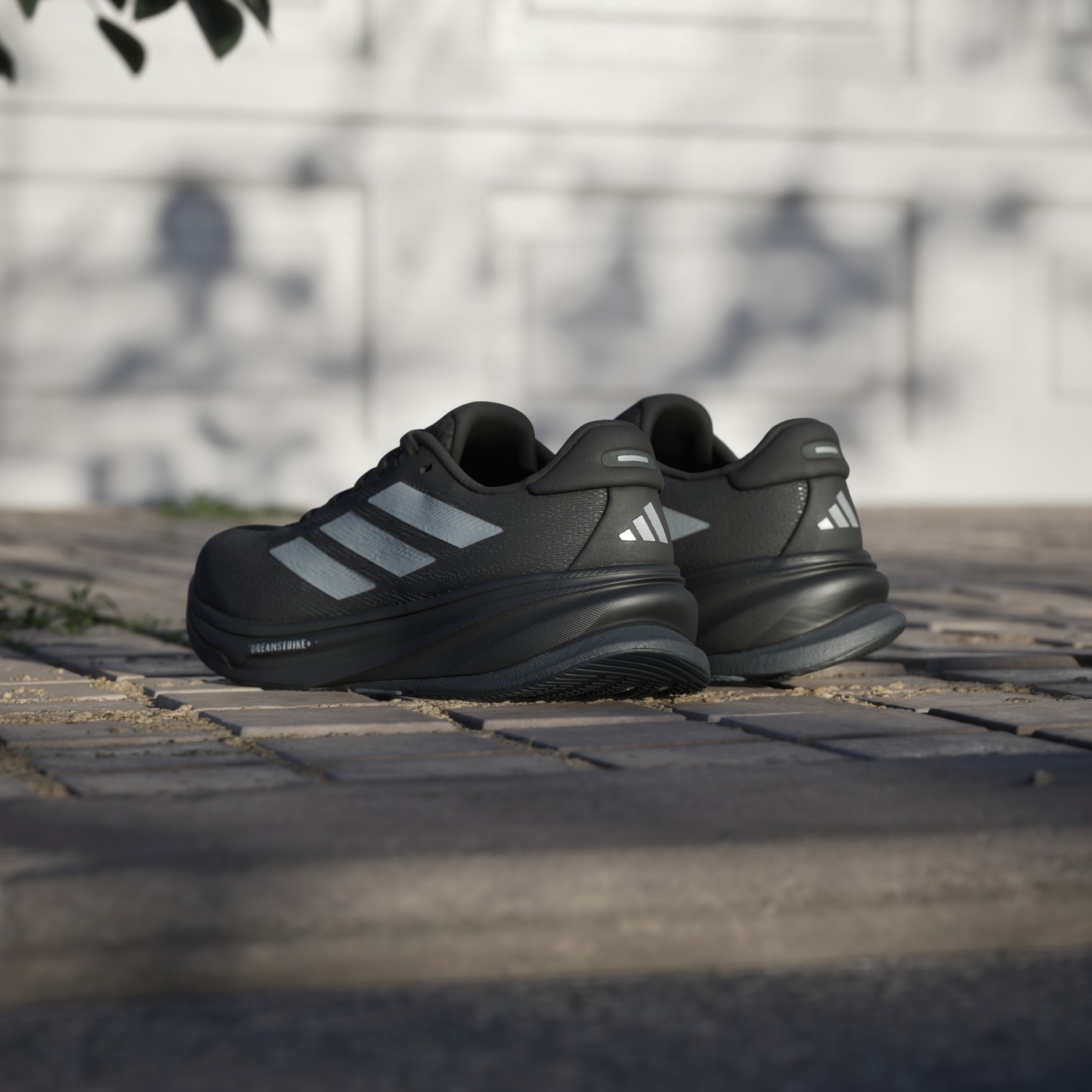 Pantofi de alergare Supernova Rise 2