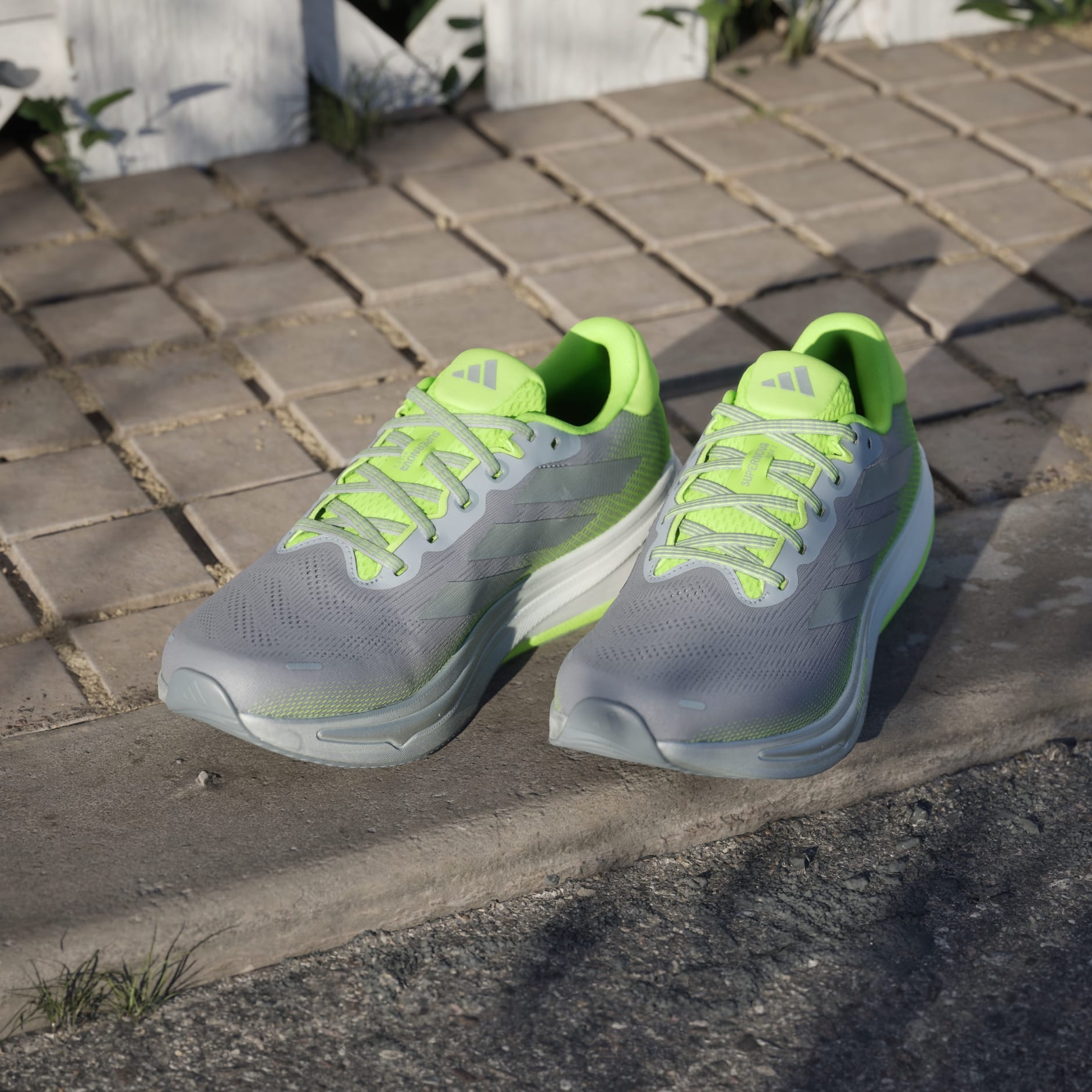 Pantofi de alergare Supernova Rise 2