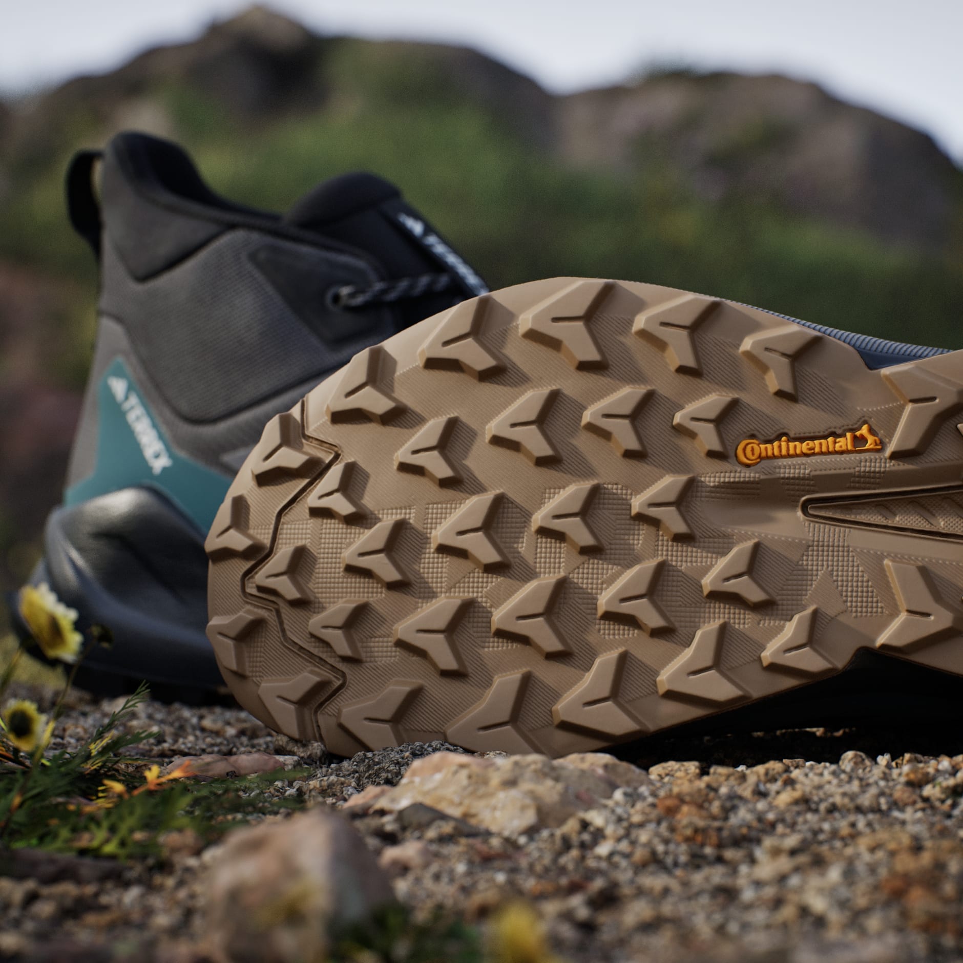 Pantofi de drumeție Terrex Trailmaker 2.0 Mid Gore-Tex