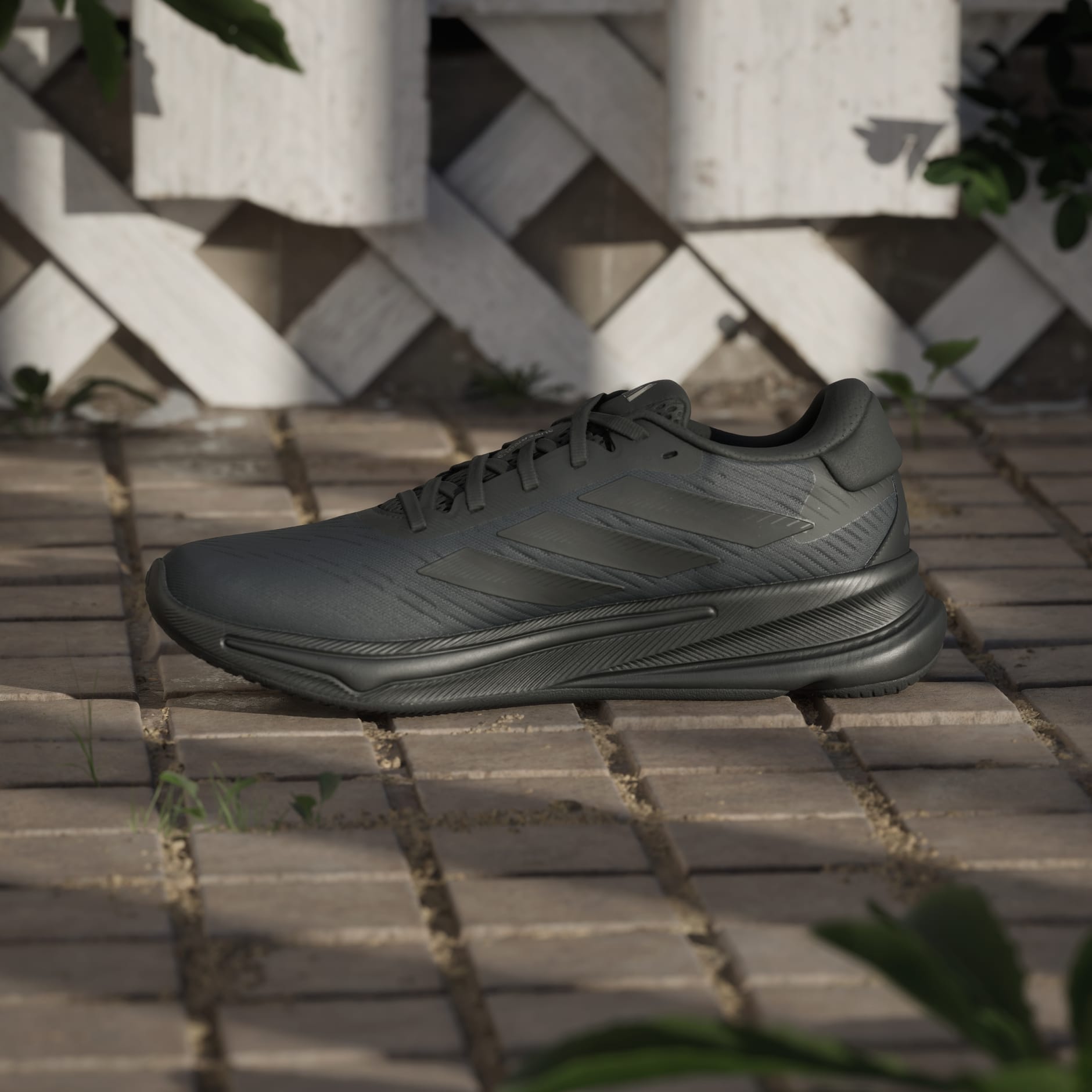 Supernova Ease Shoes