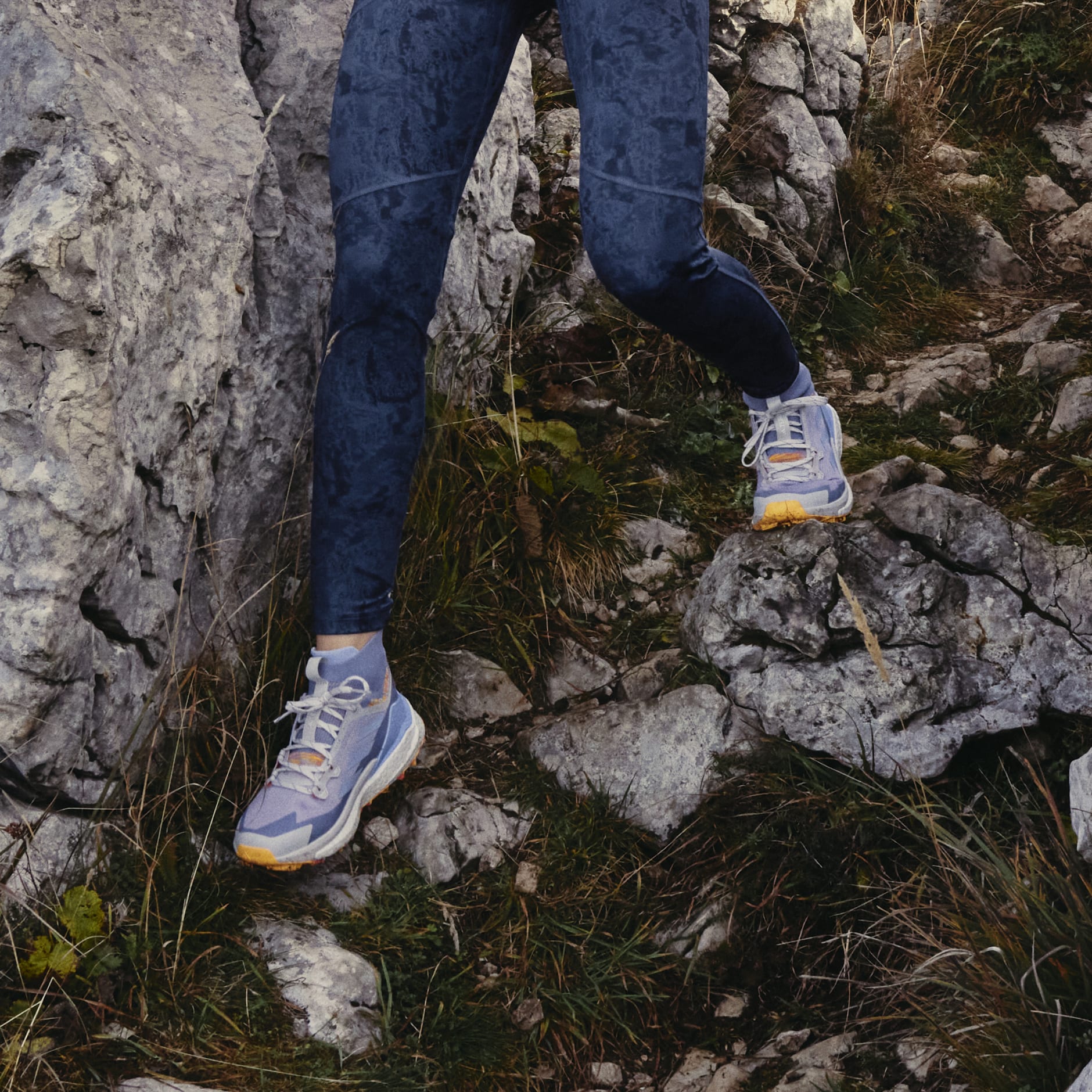 Terrex Free Hiker 2.0 Hiking Shoes