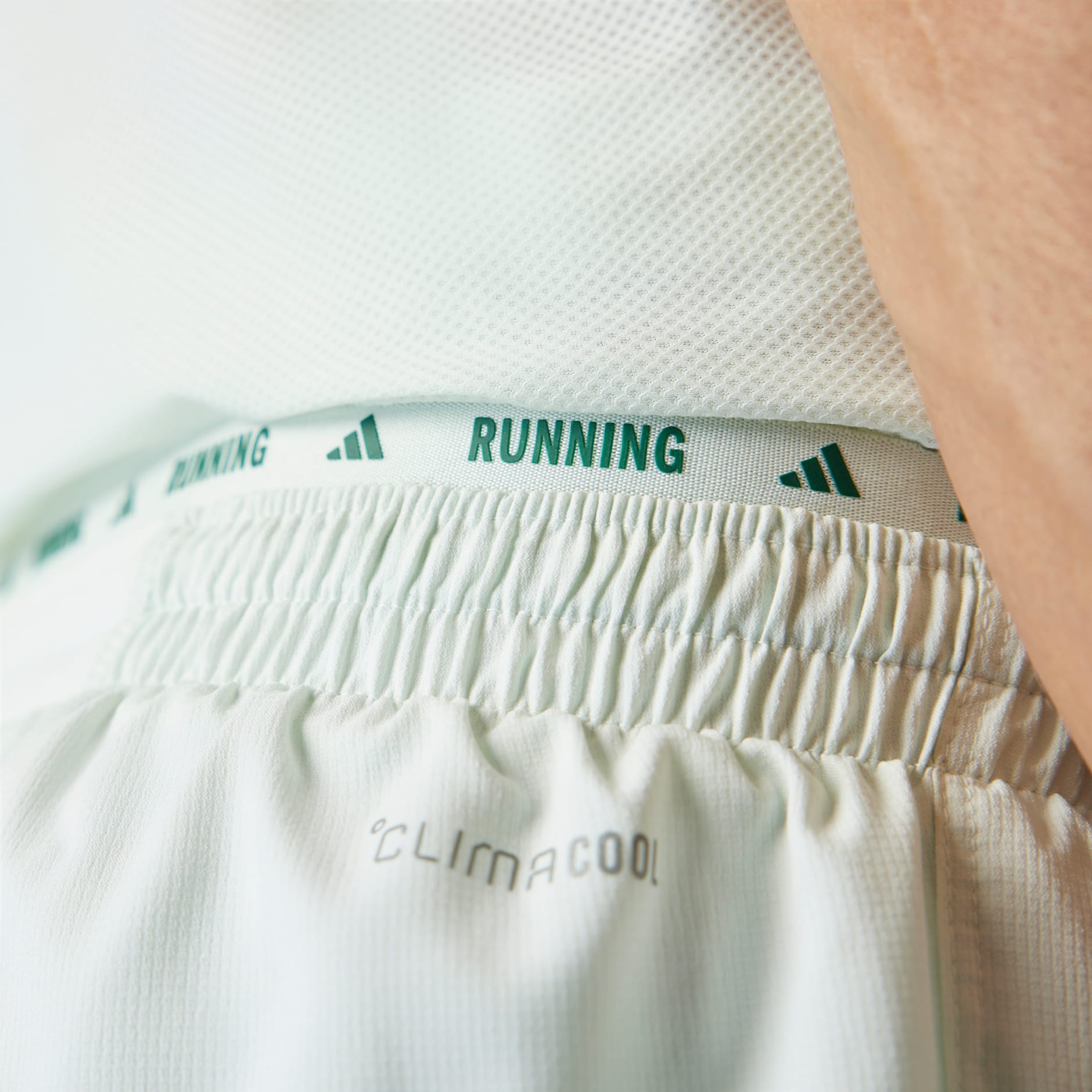 Clothing - Runners CLIMACOOL Shorts - Green | adidas Oman