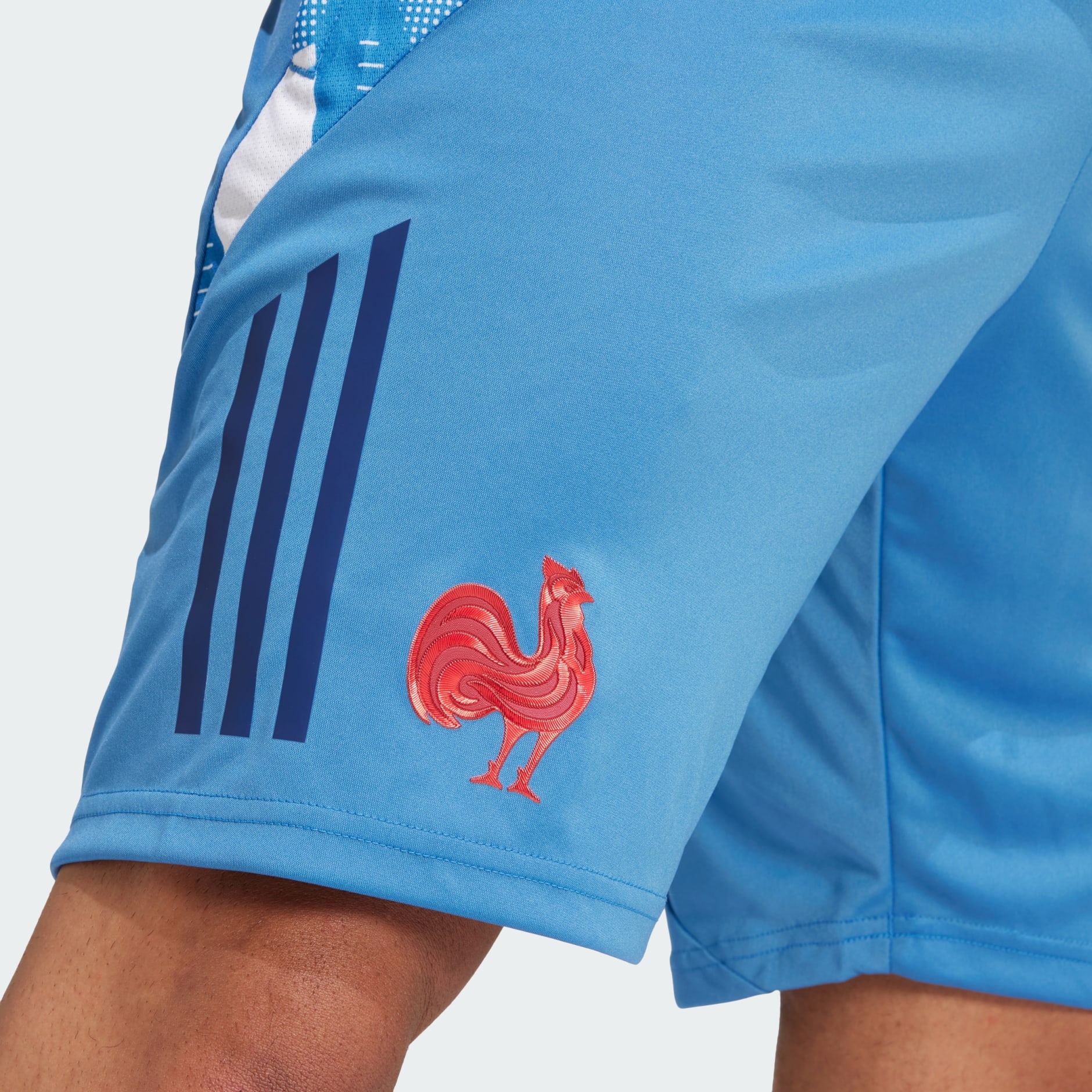 Pantaloni scurți de sală Franța