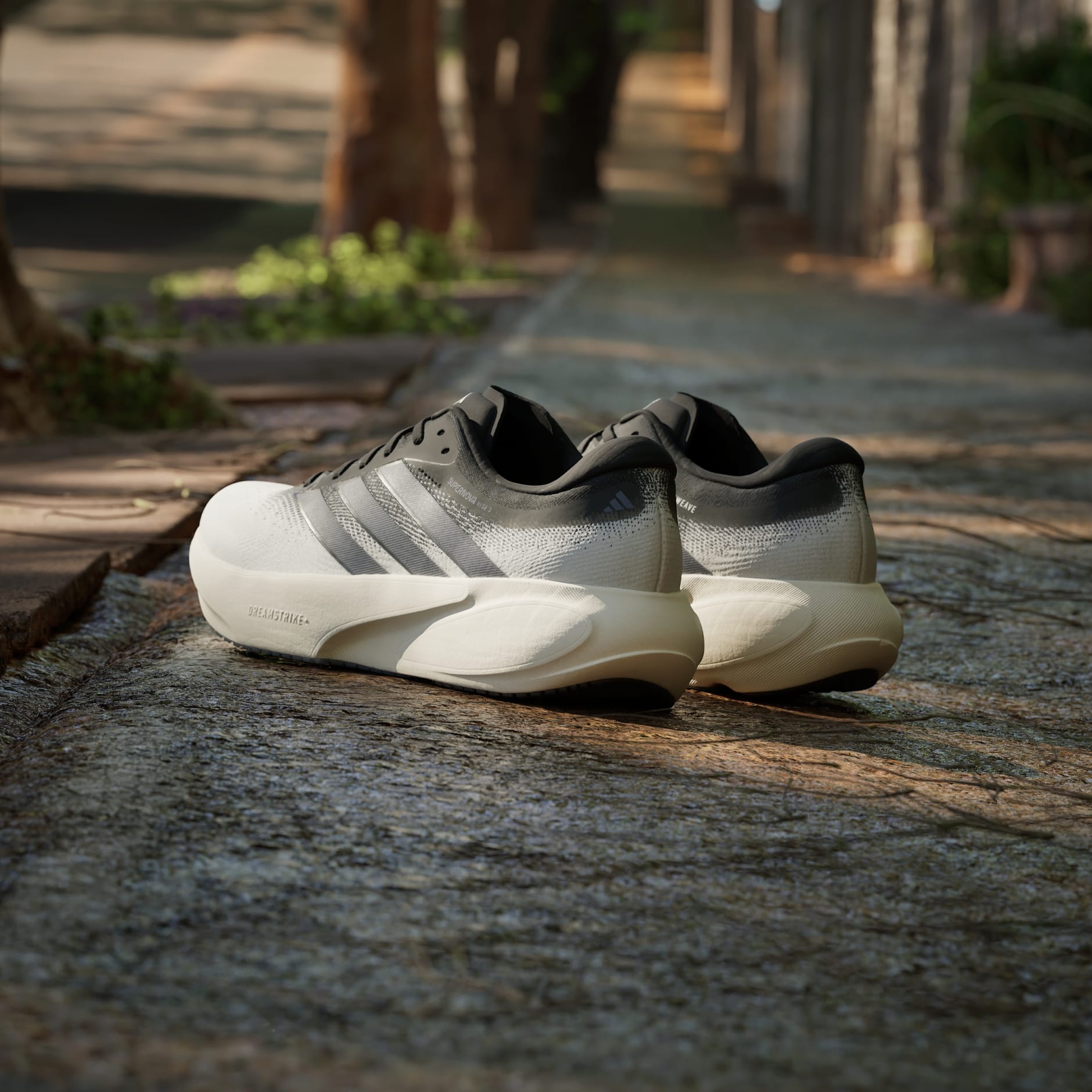 CHAUSSURE DE RUNNING SUPERNOVA RISE&nbsp;3