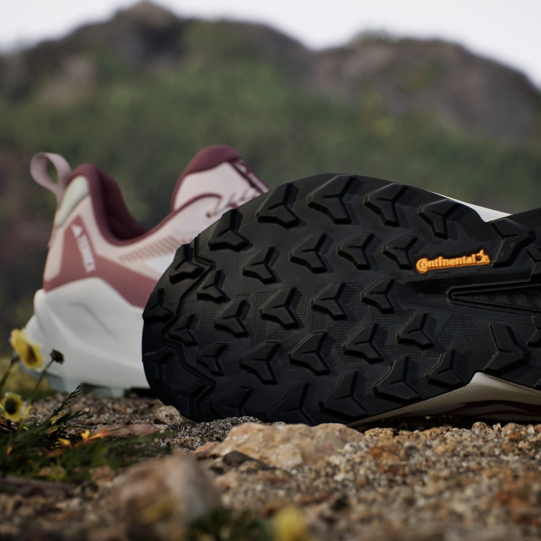 Pantofi de drumeție Terrex Trailmaker 2.0