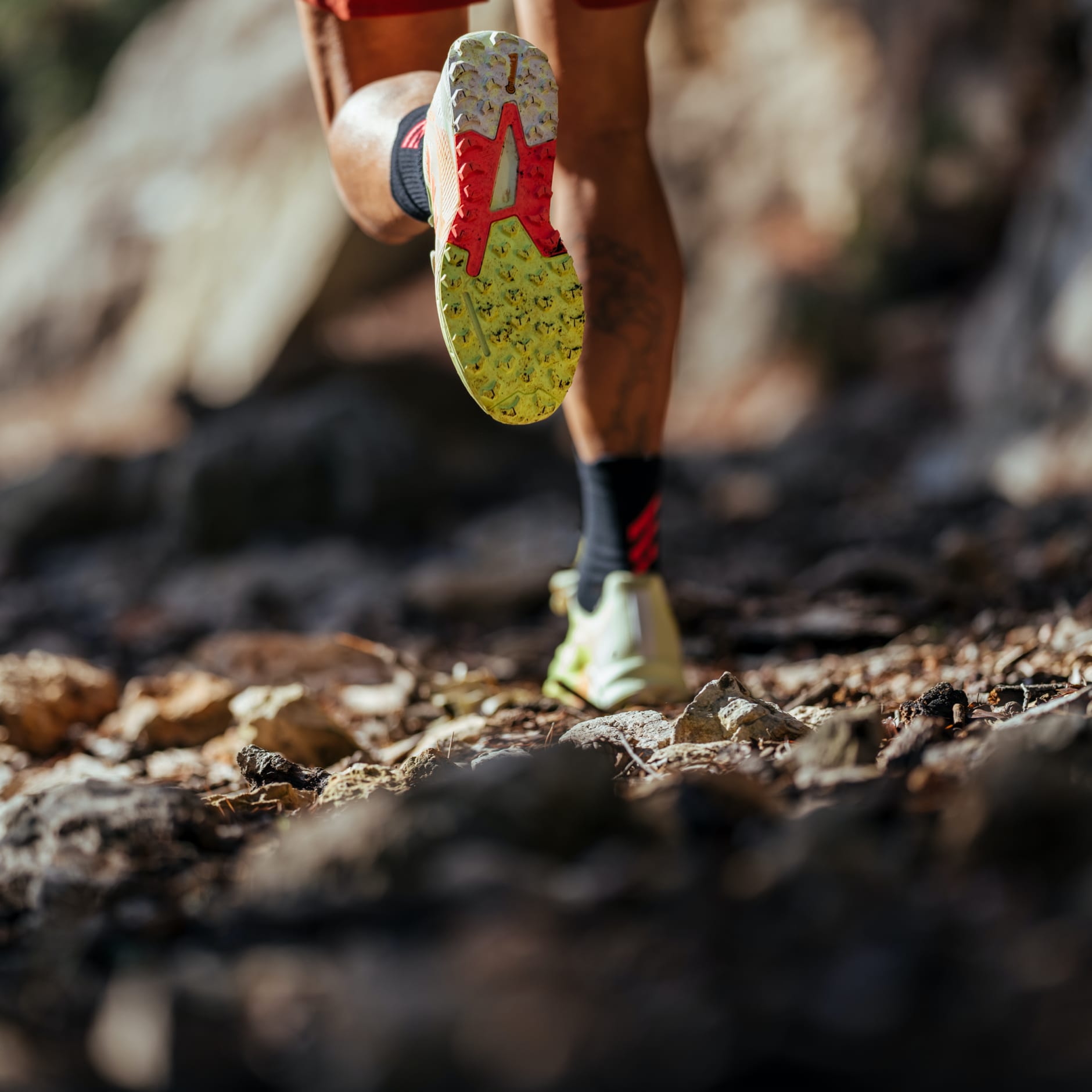 TERREX AGRAVIC FLOW 2 TRAIL RUNNING SHOES