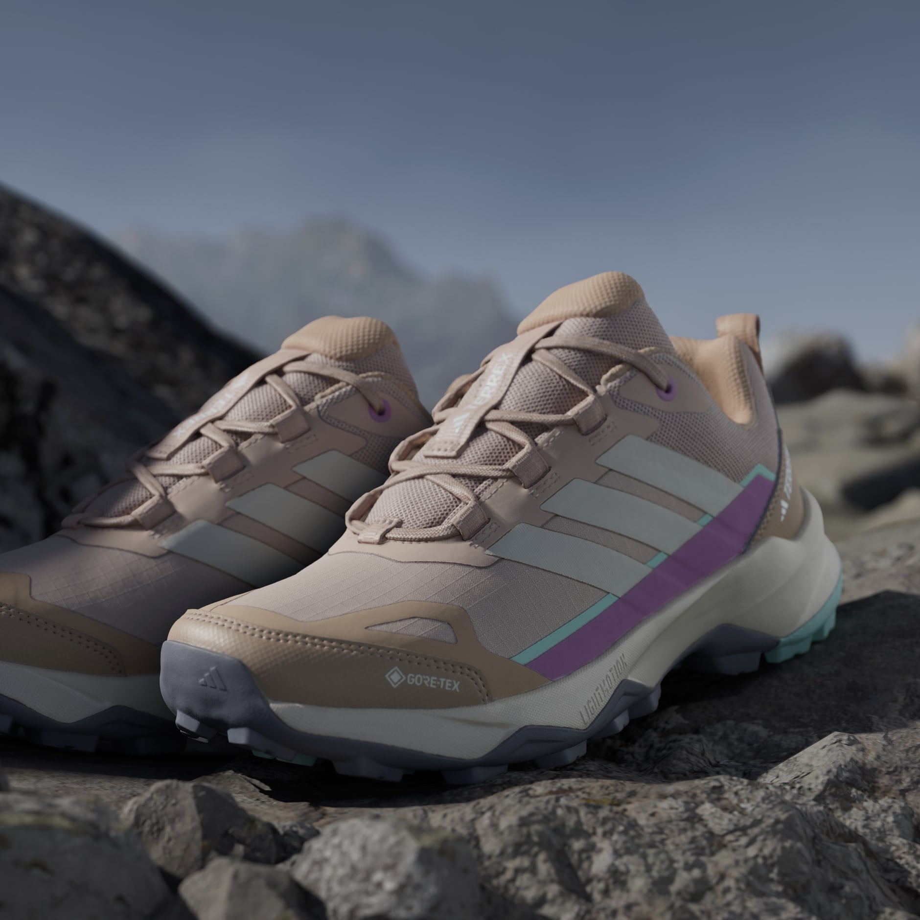 Pantofi de drumeție Terrex Skychaser AX5 GORE-TEX