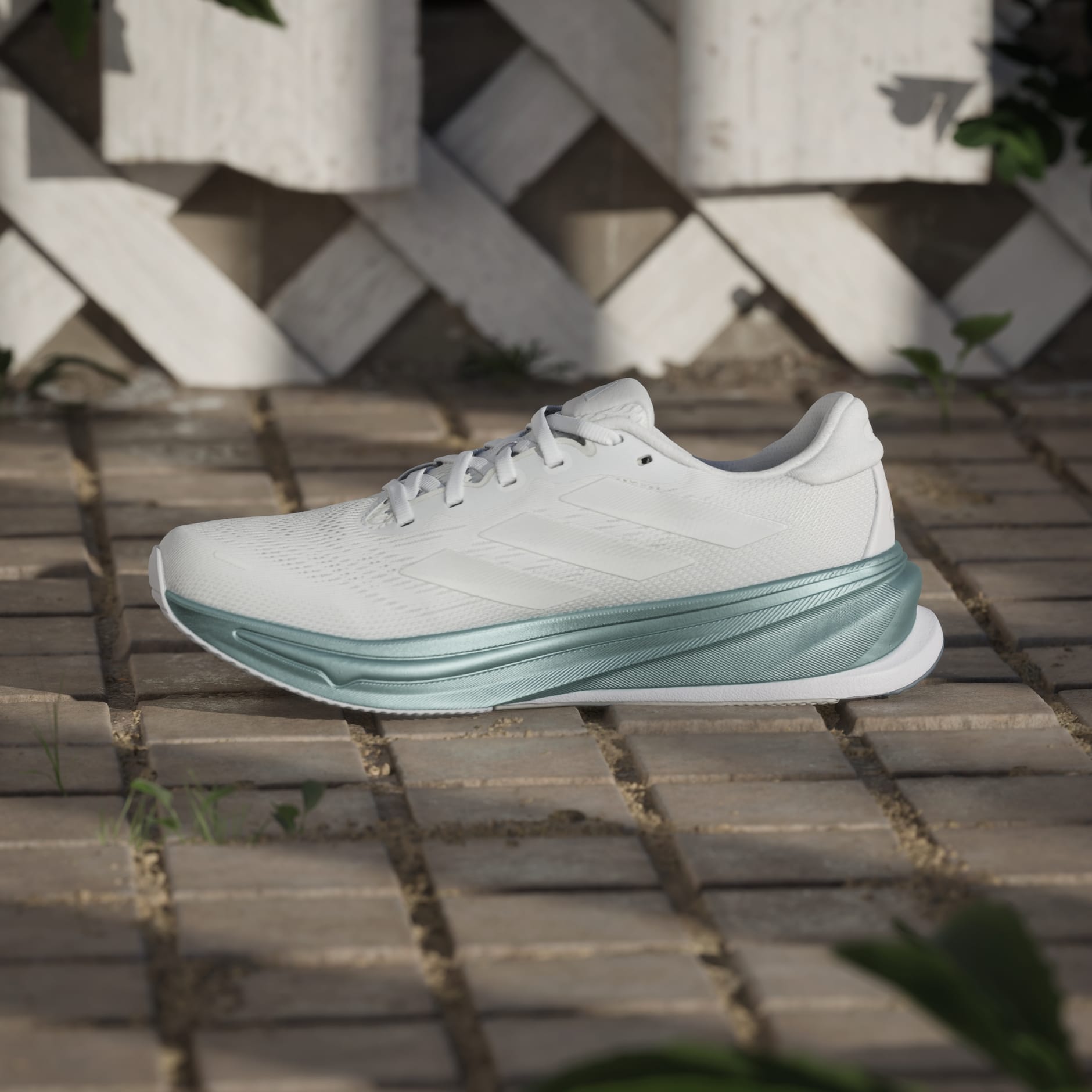 حذاء Supernova Rise 2 Running