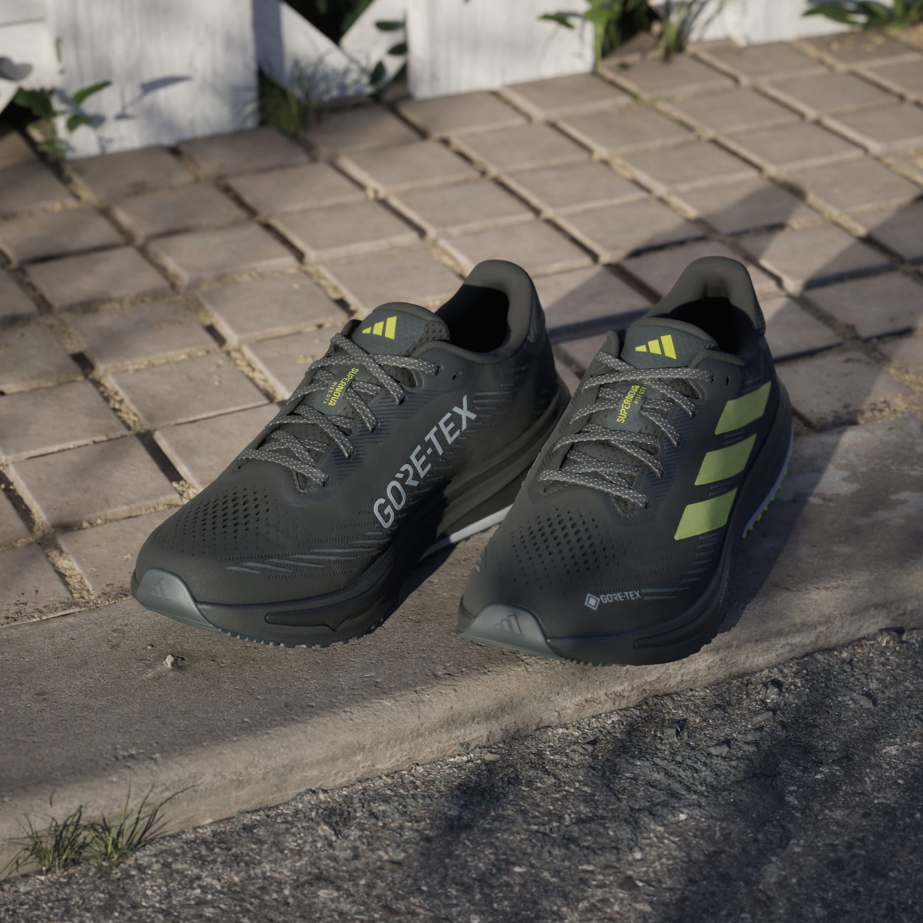 Pantofi de alergare Supernova Rise GTX