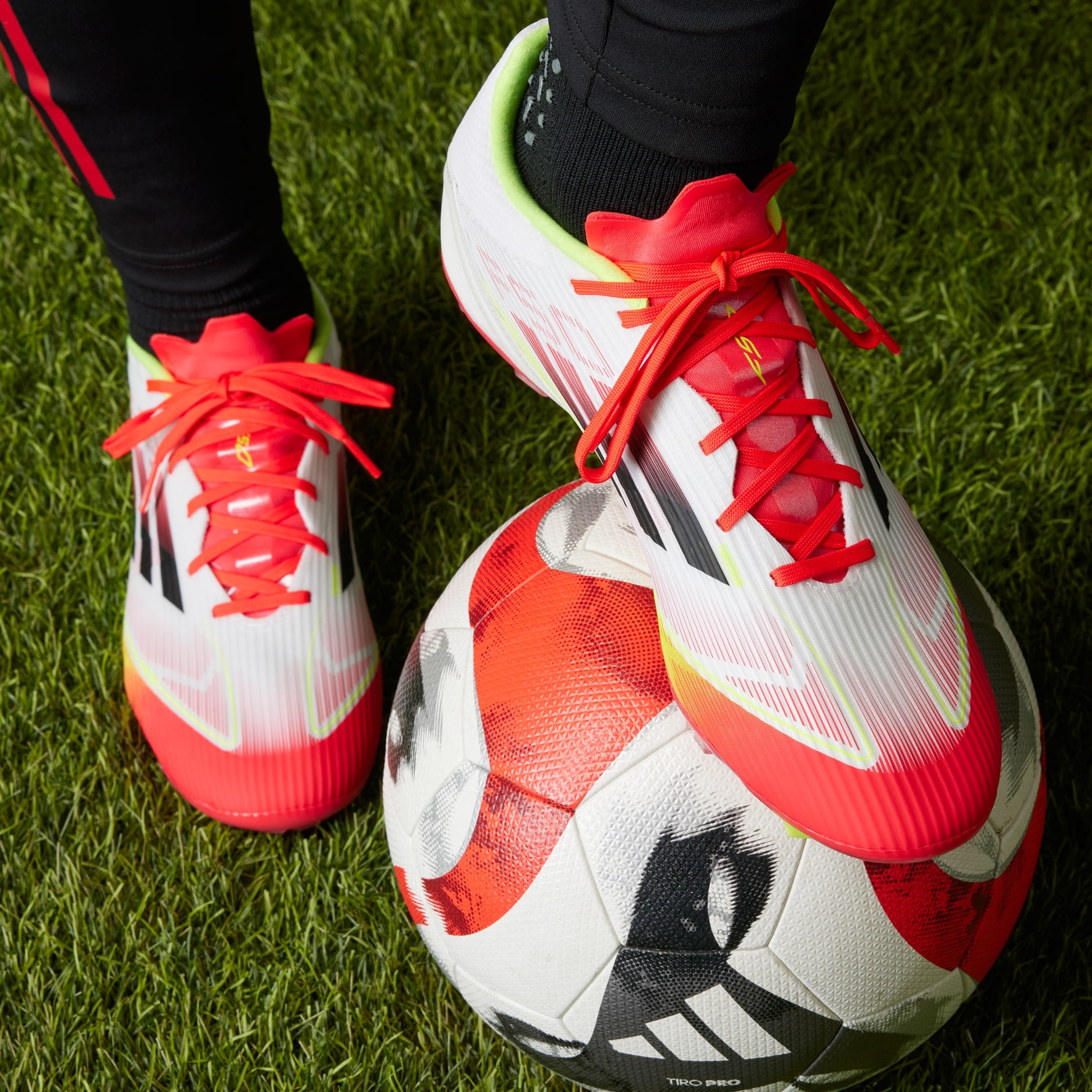 F50 LEAGUE FG/MG