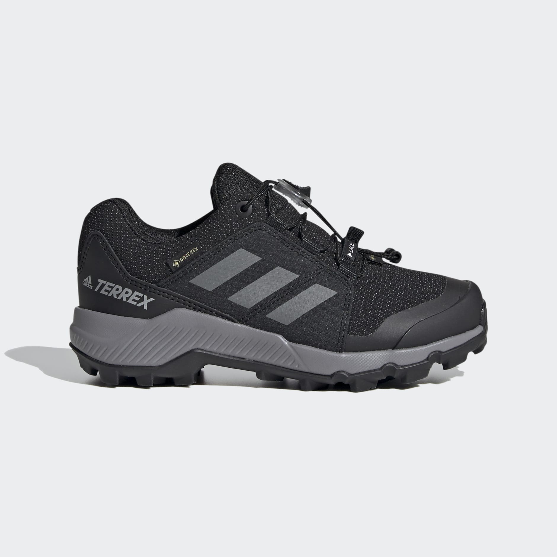 Terrex GORE-TEX Hiking Shoes