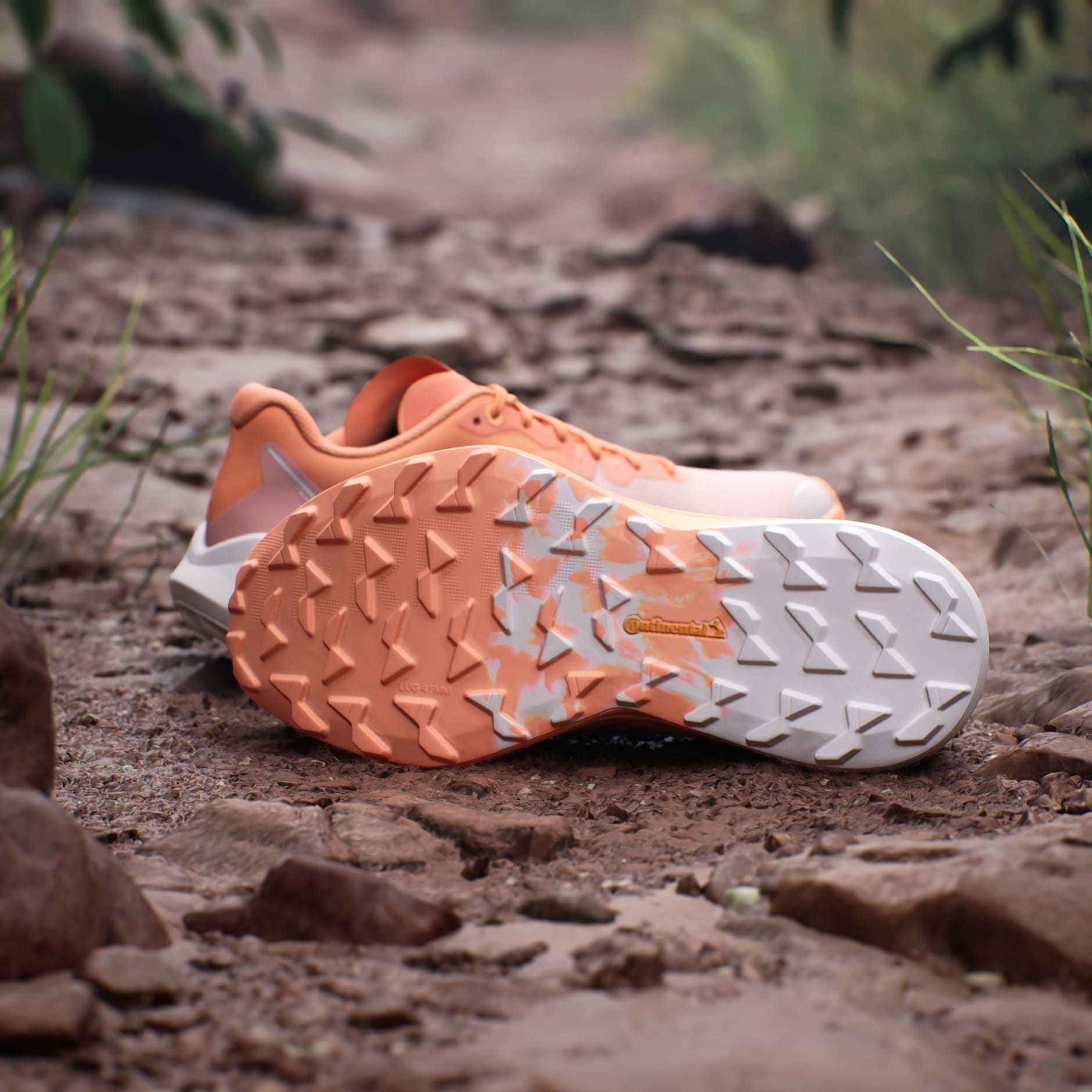Tenis de Trail Running Terrex Agravic 3
