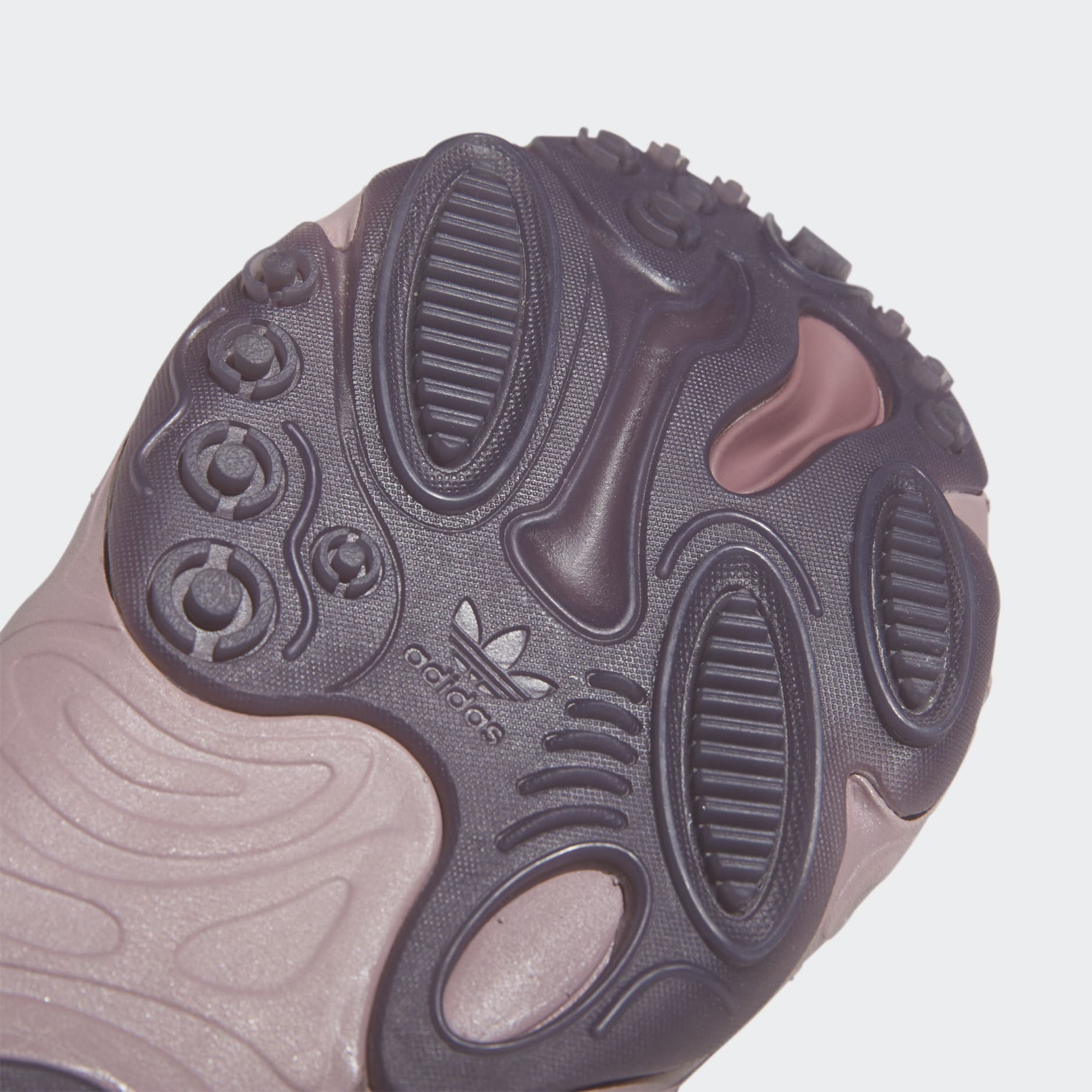 OZNOVA Shoes