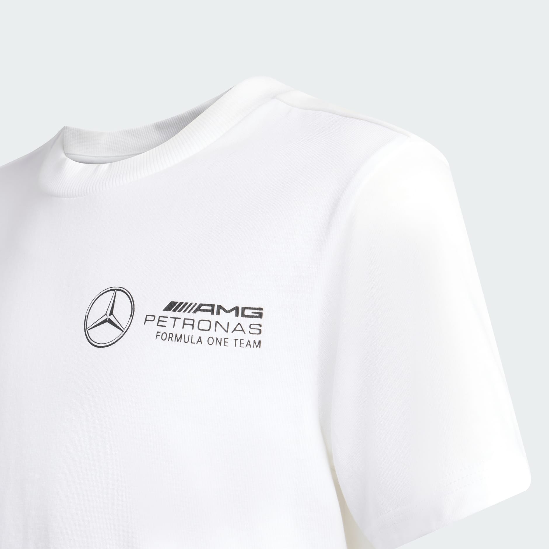 تيشيرت Mercedes - AMG Petronas Formula One Team Graphic