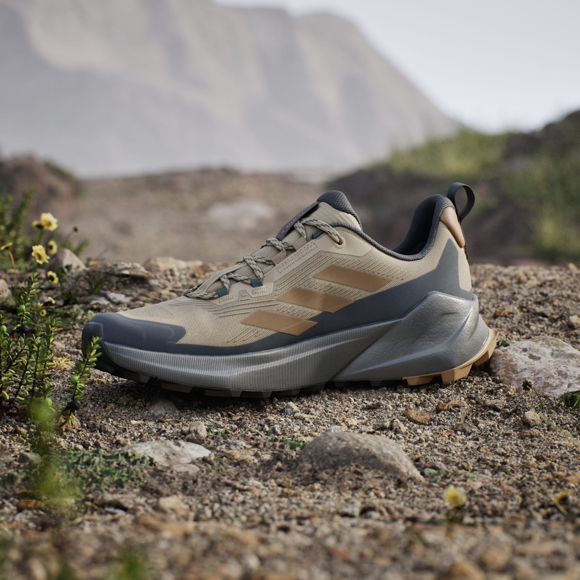 Pantofi de drumeție Terrex Trailmaker 2.0