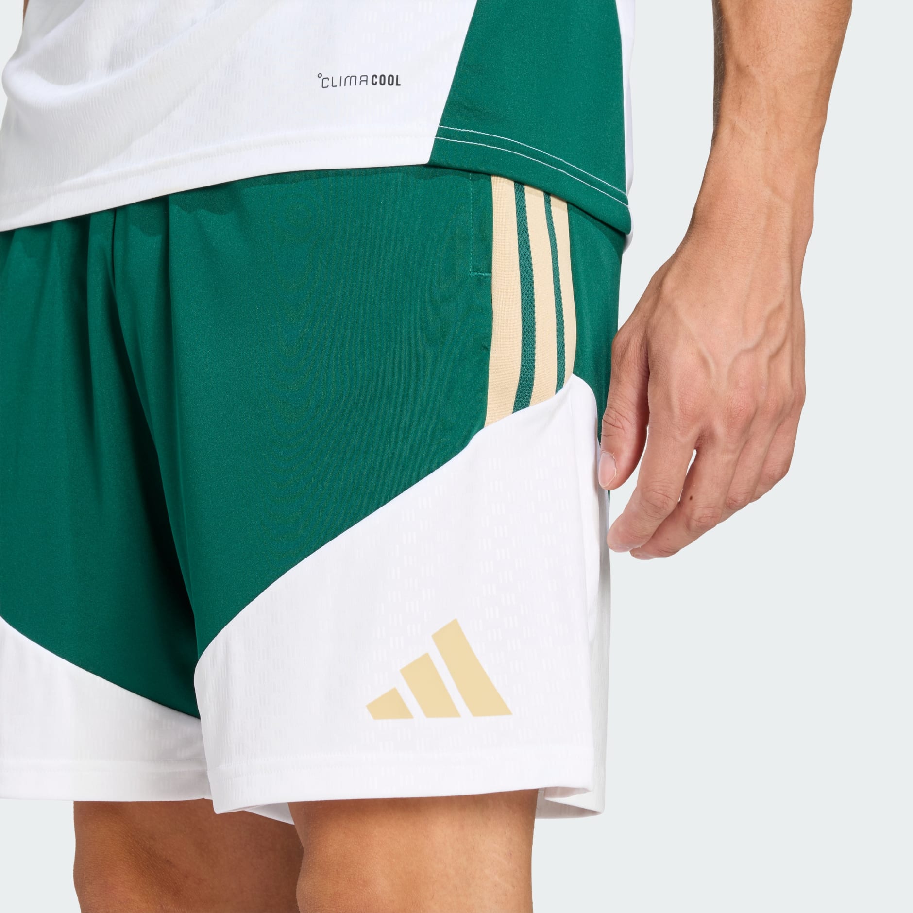 Italy 26 Tiro Training Shorts