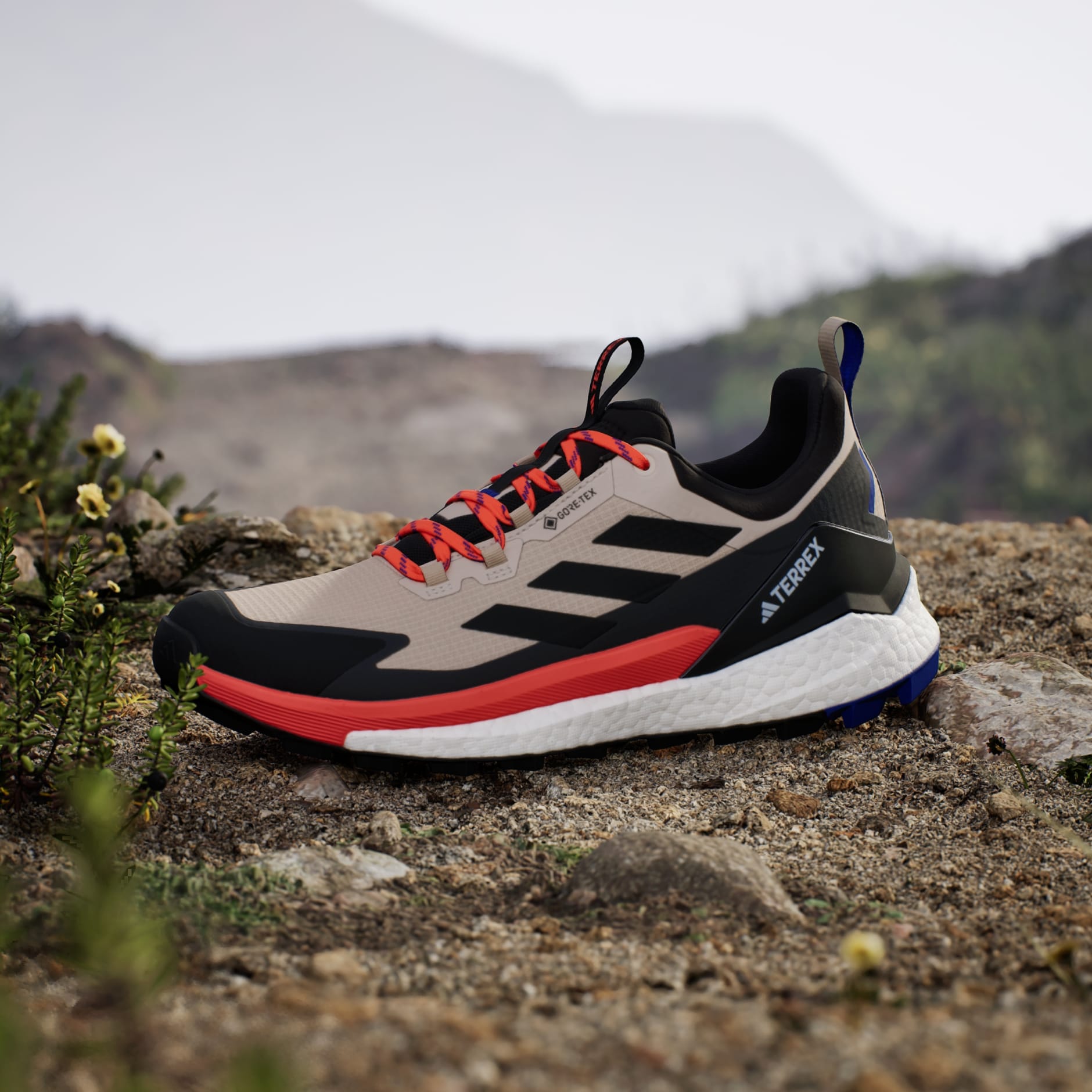 Tenis de Senderismo Terrex Free Hiker 2.0 Low Gore-Tex