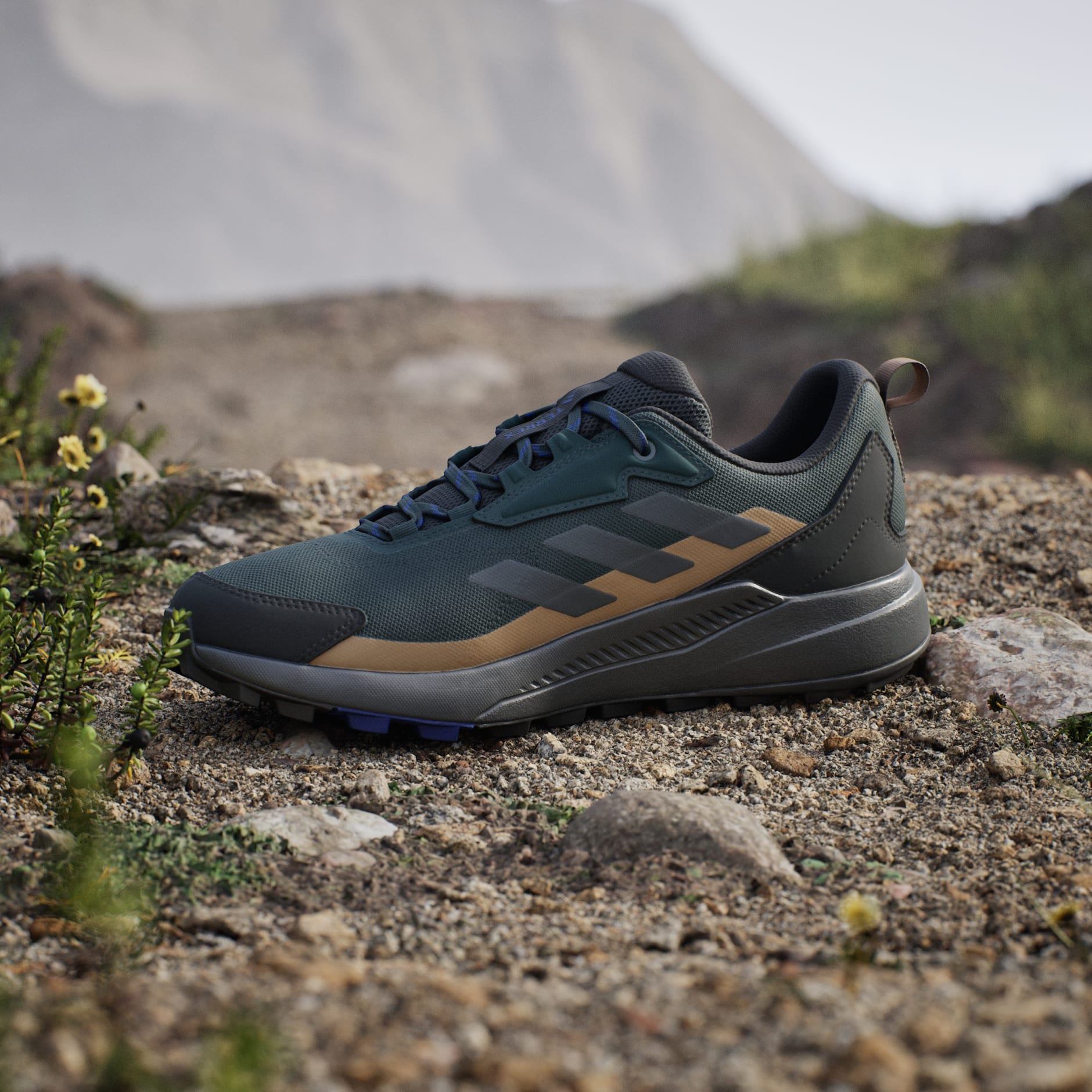 Pantofi de drumeție Terrex Anylander