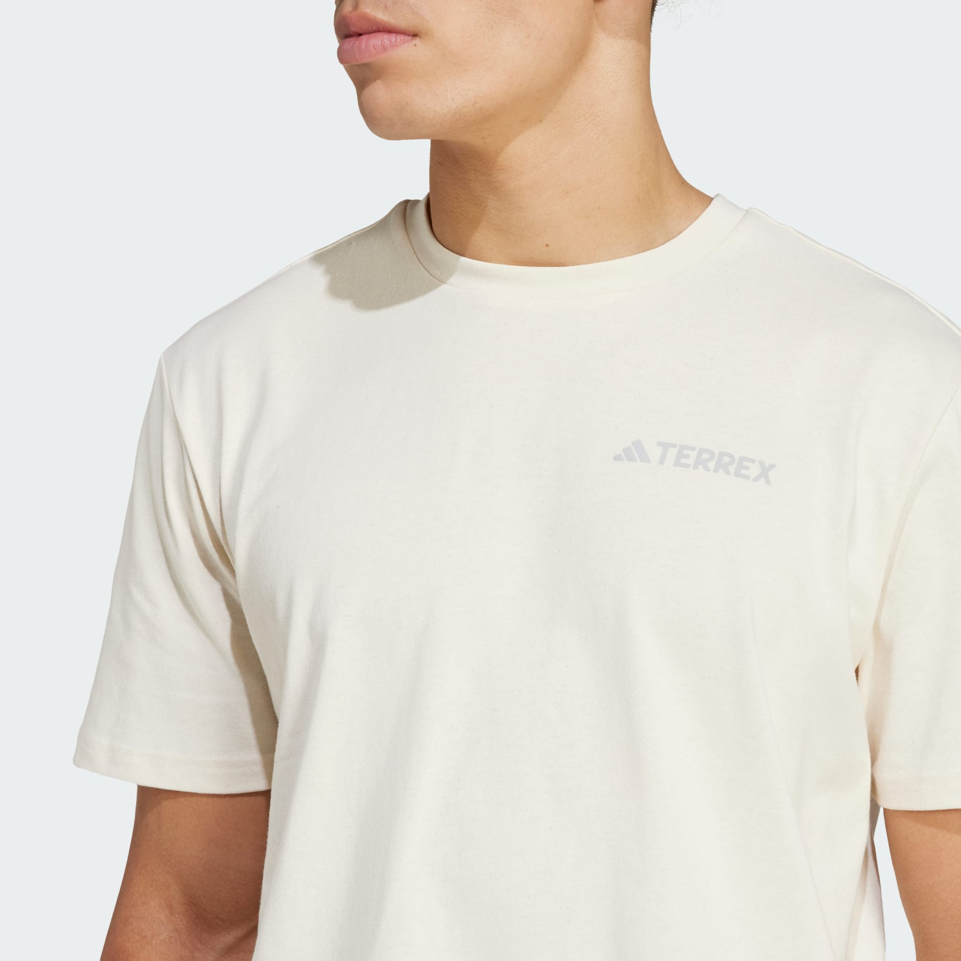 Polygiene Graphic Tee