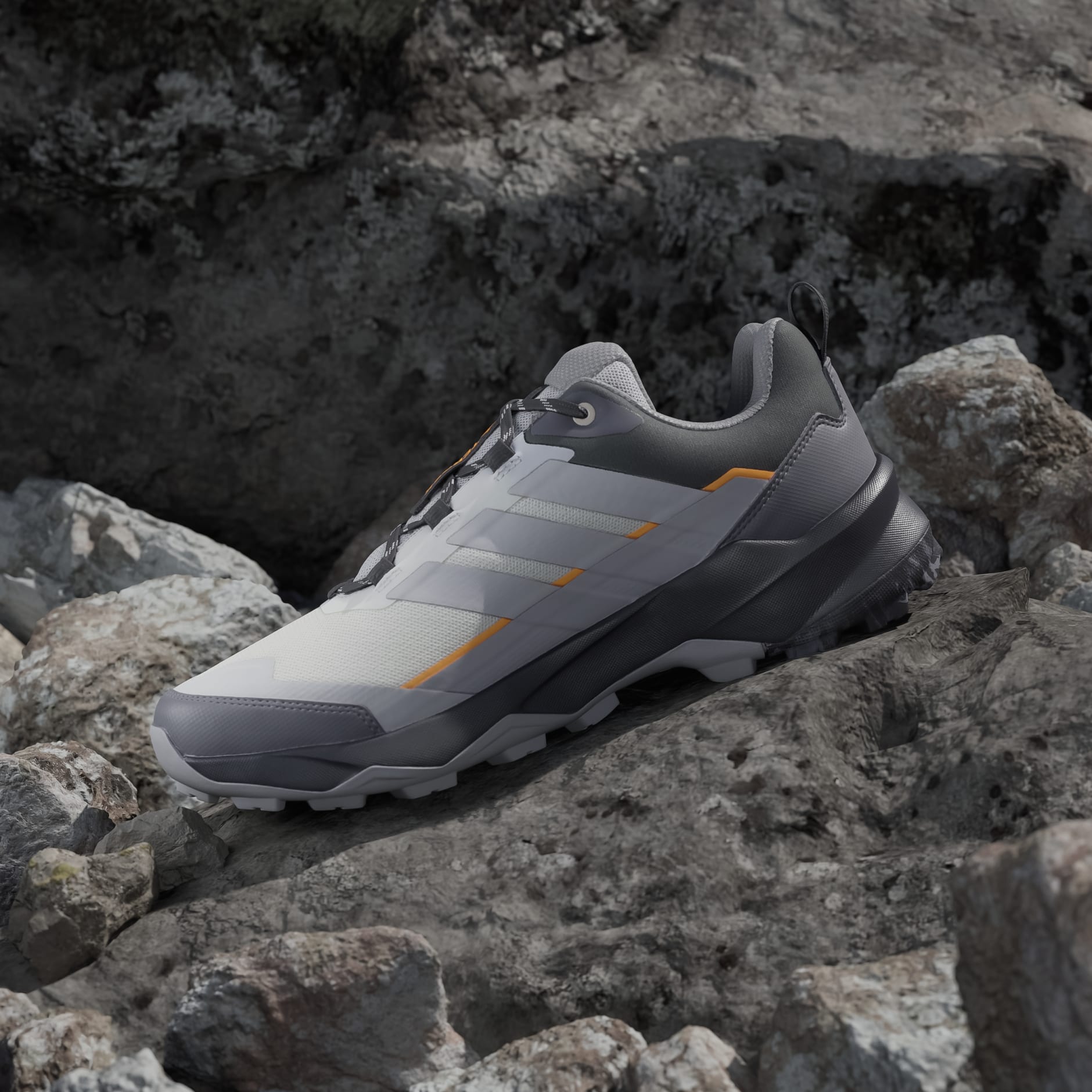 Planinarske cipele Terrex Skychaser Ax5