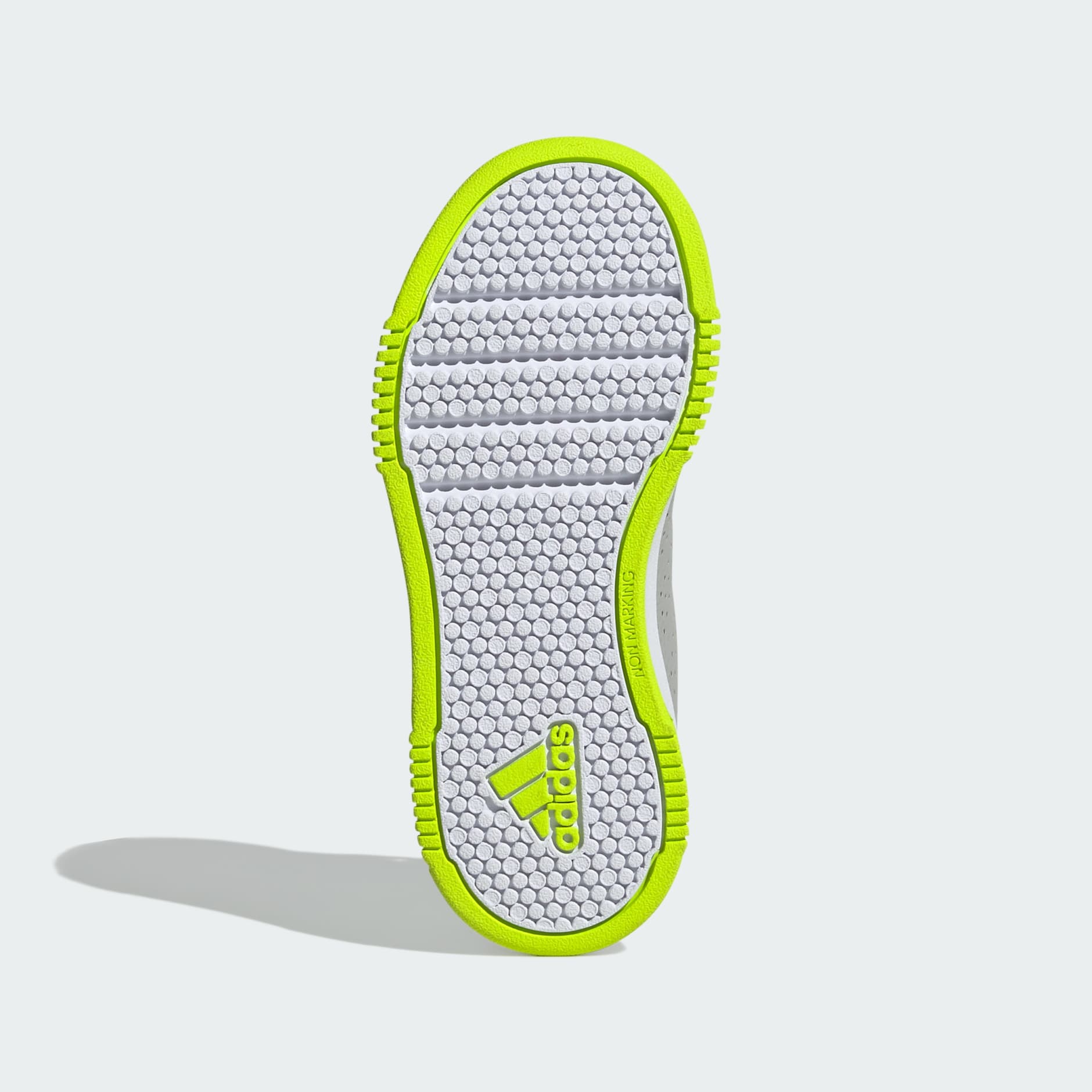 Teniși cu scai Tensaur