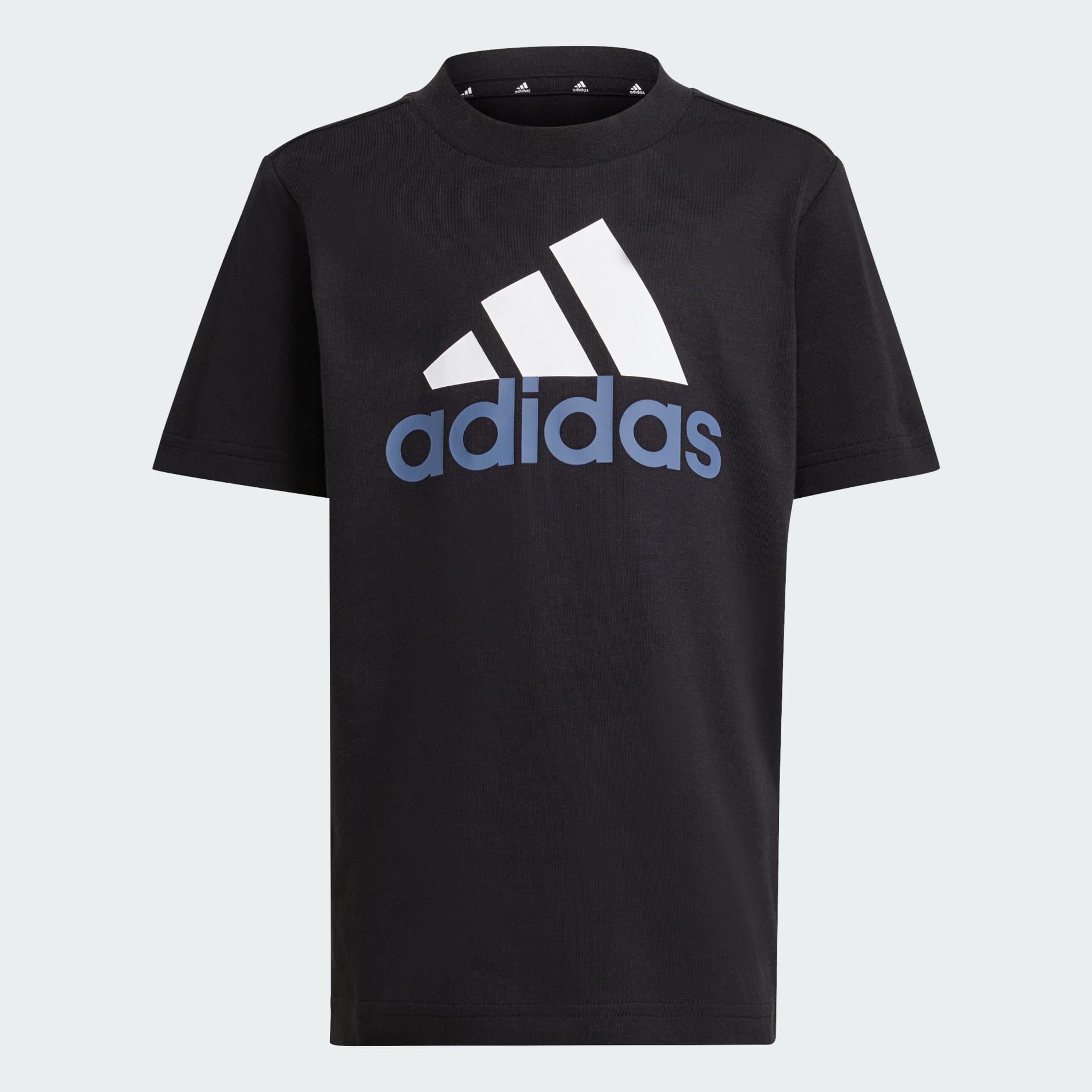 Essentials Logo Tee and Short Set