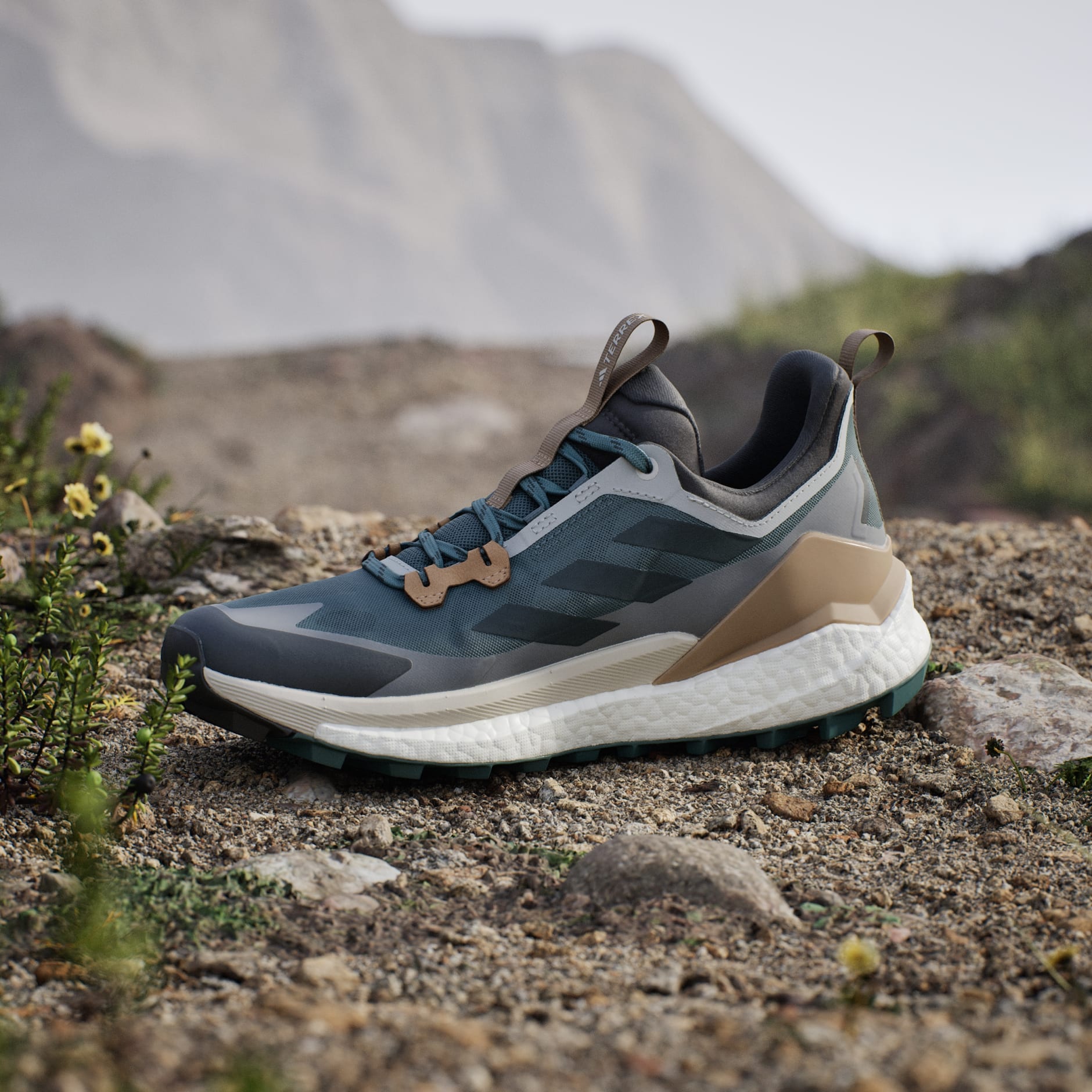 Terrex Free Hiker 2.0 Low Hiking Shoes