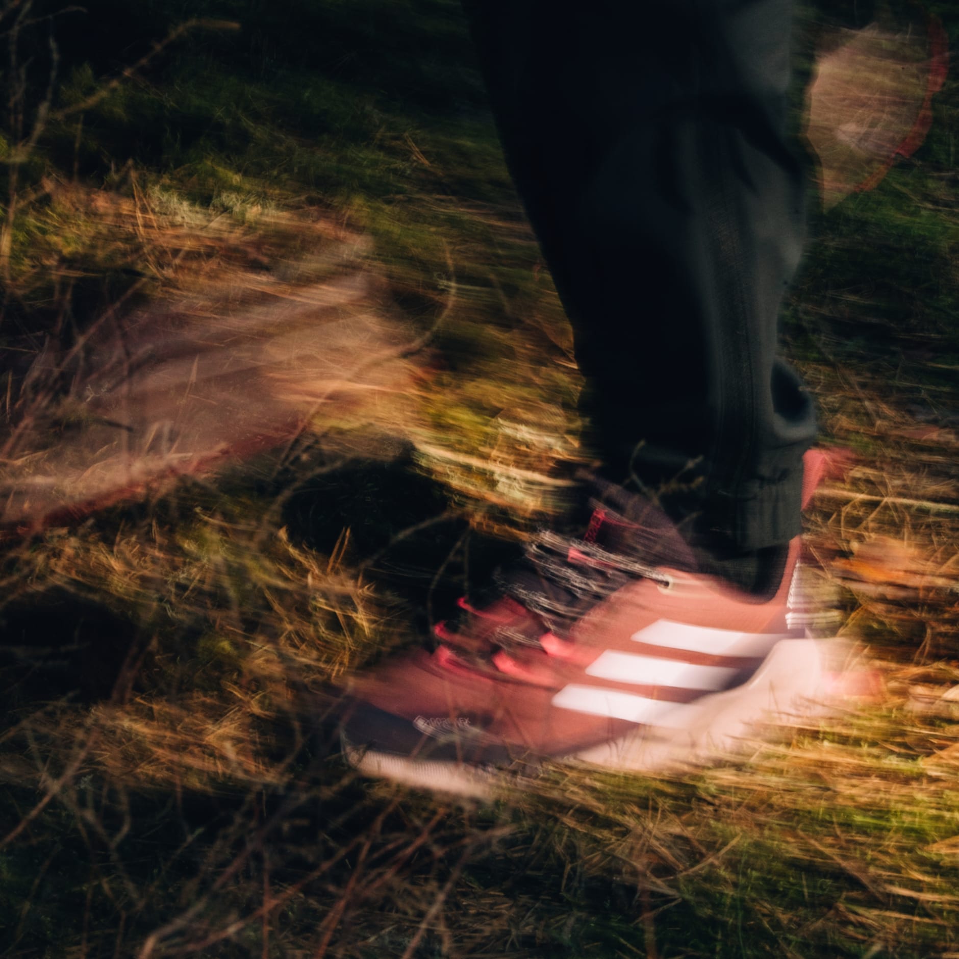 Tenis de Senderismo Terrex Trailmaker 2.0 GORE-TEX