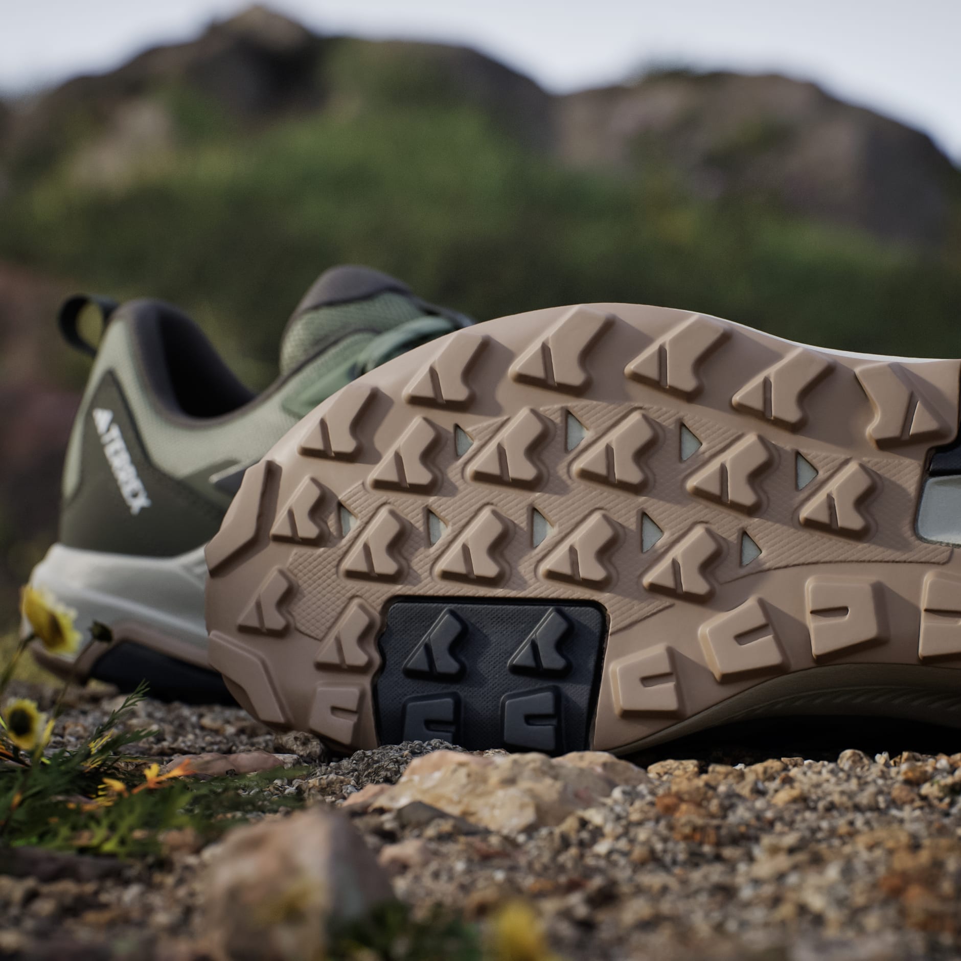 Terrex Anylander Hiking Shoes