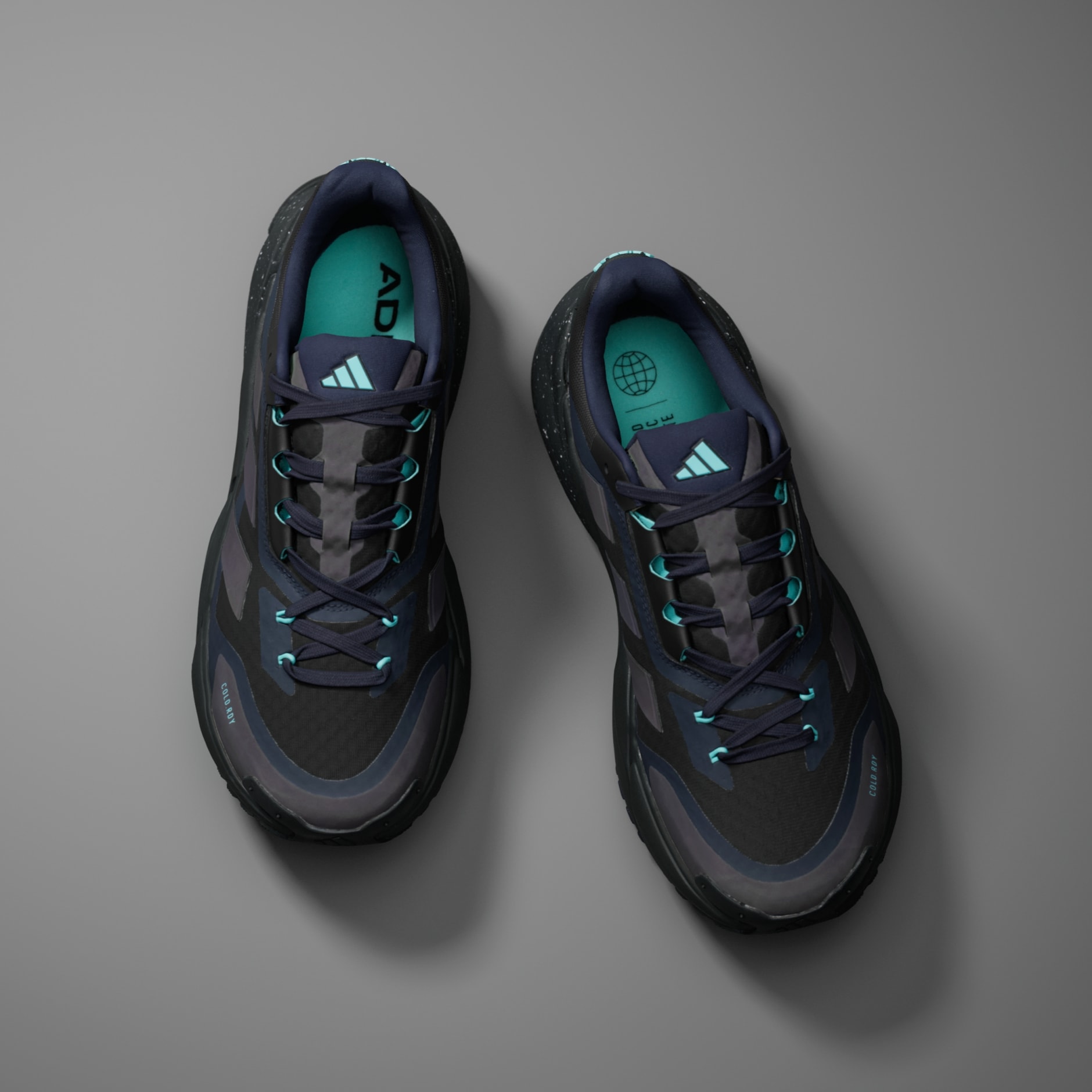 Adistar COLD.RDY Shoes