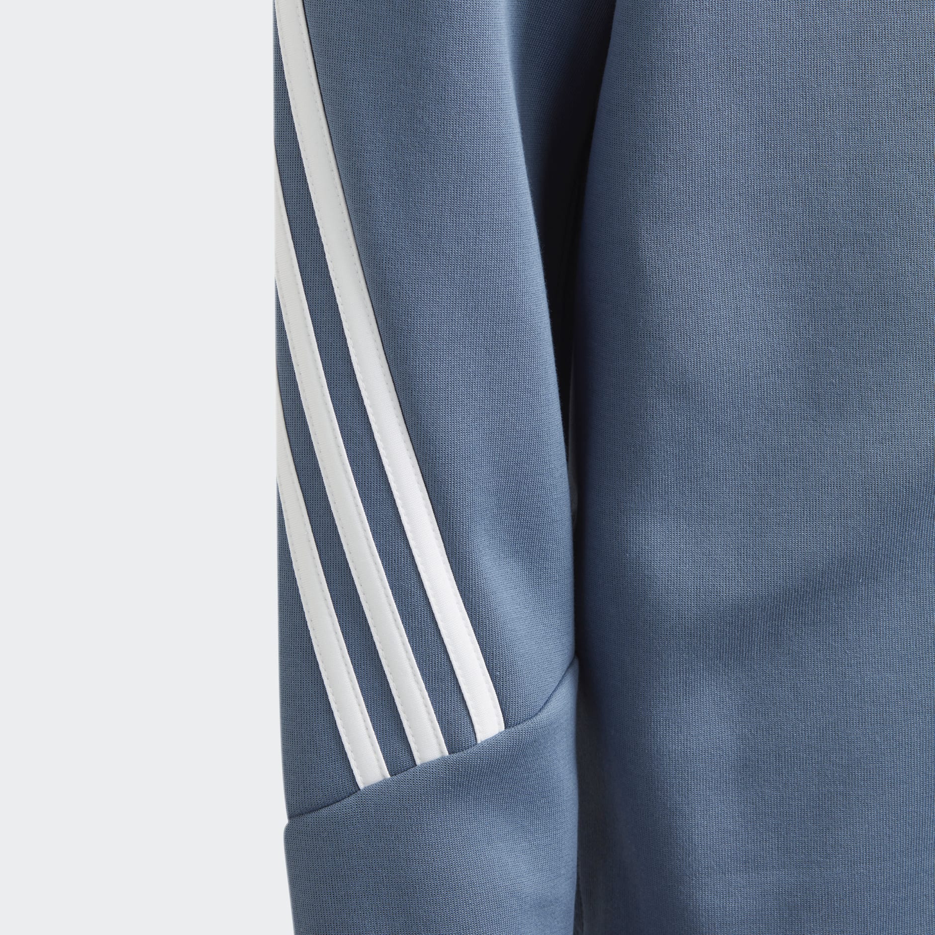 Future Icons 3-Stripes Full-Zip Hoodie