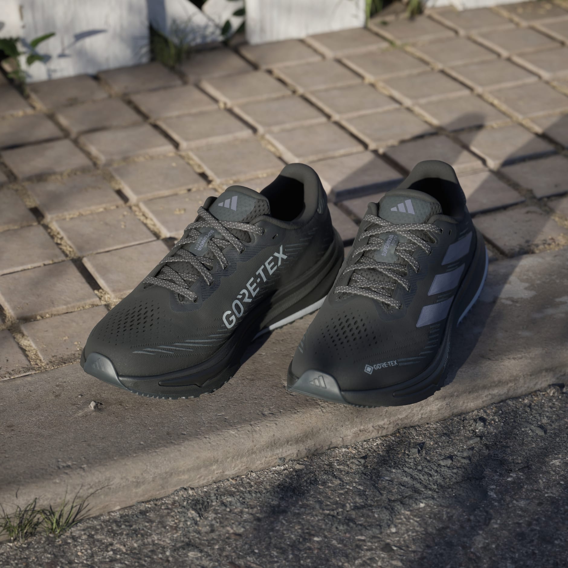 Pantofi de alergare Supernova Rise GTX