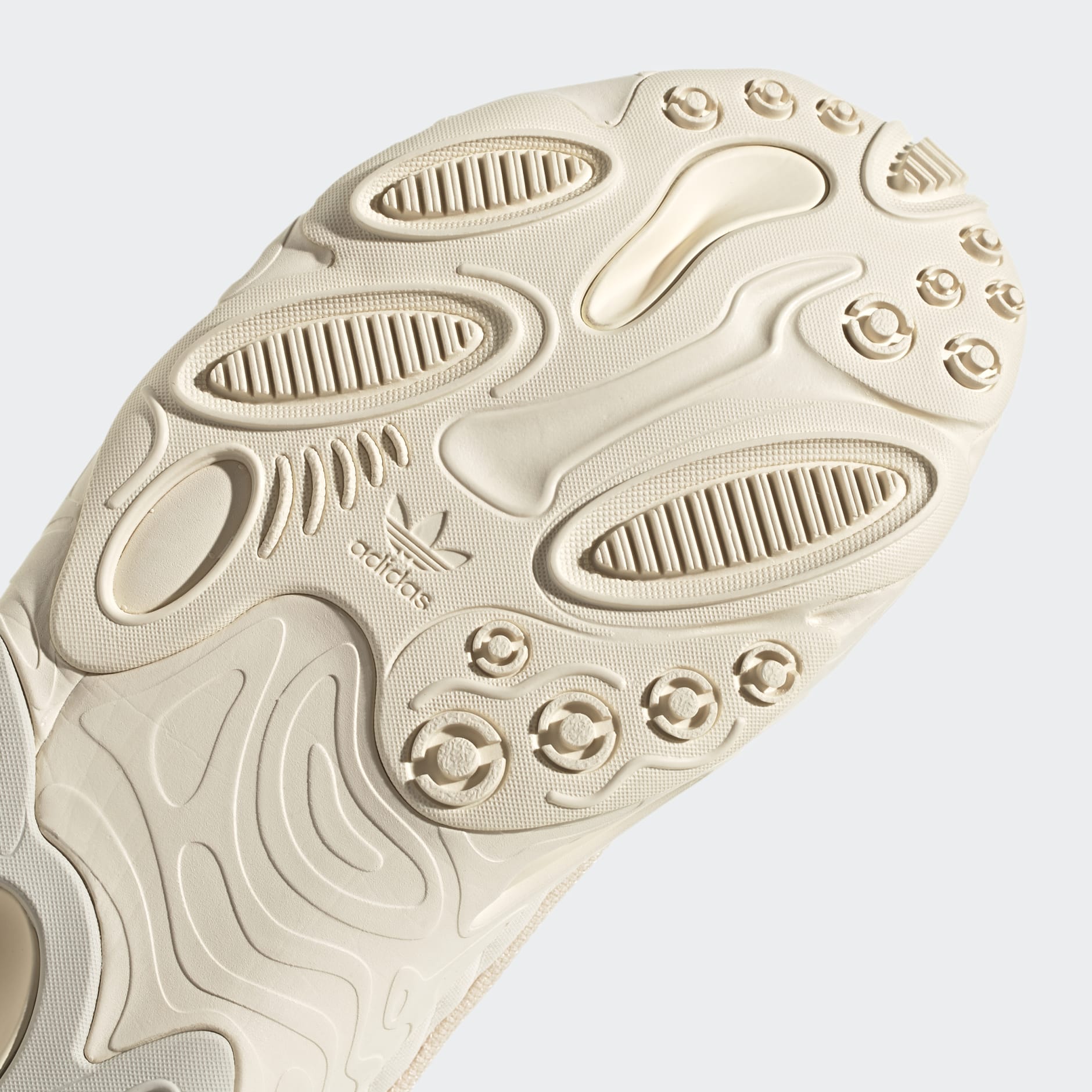 OZNOVA Shoes