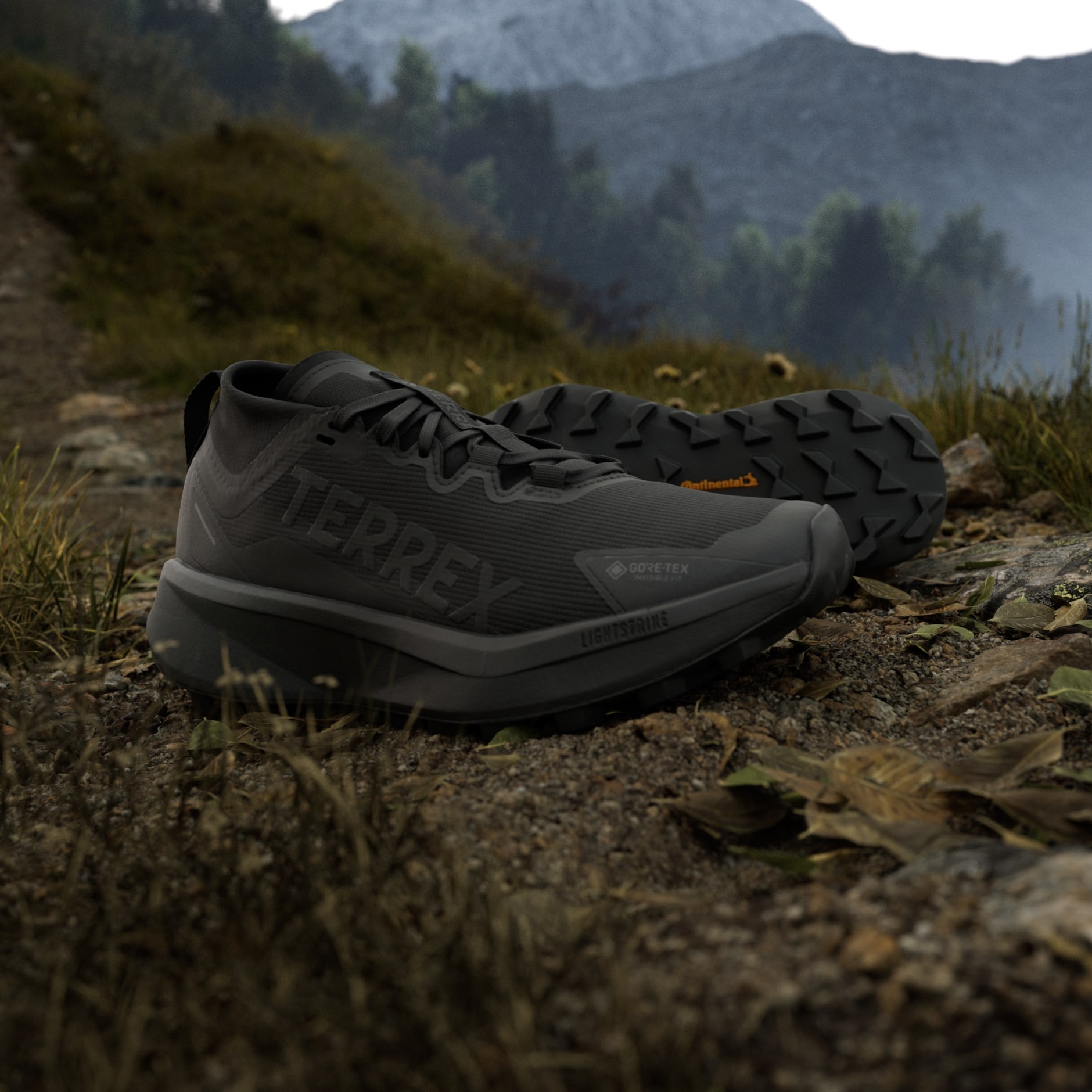 Pantofi de alergat pe trasee Terrex Agravic GTX