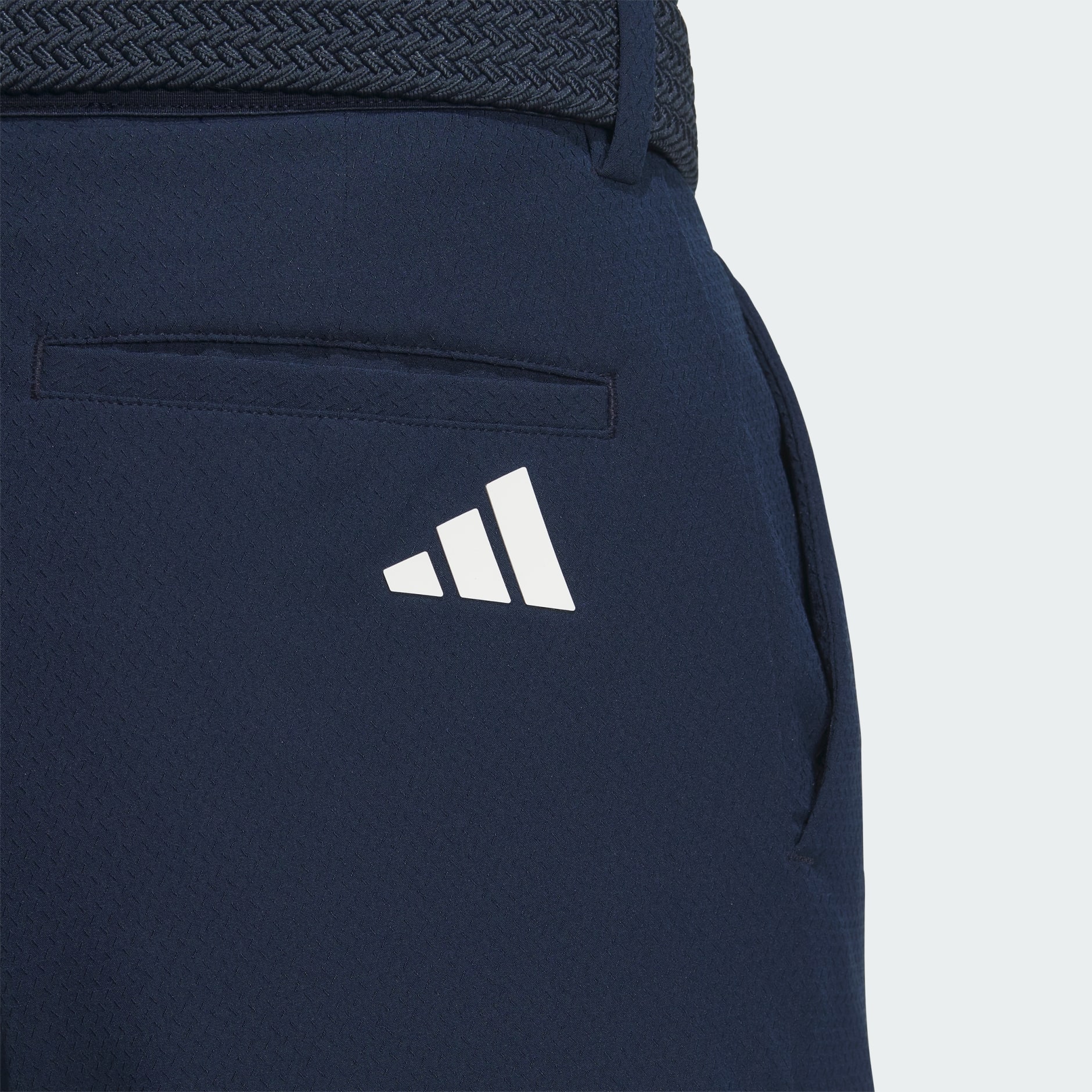 10-INCH SHORTS