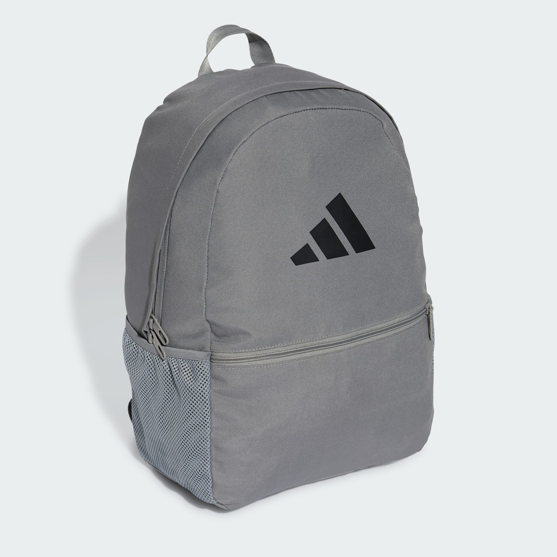 CLSC PCASE BP