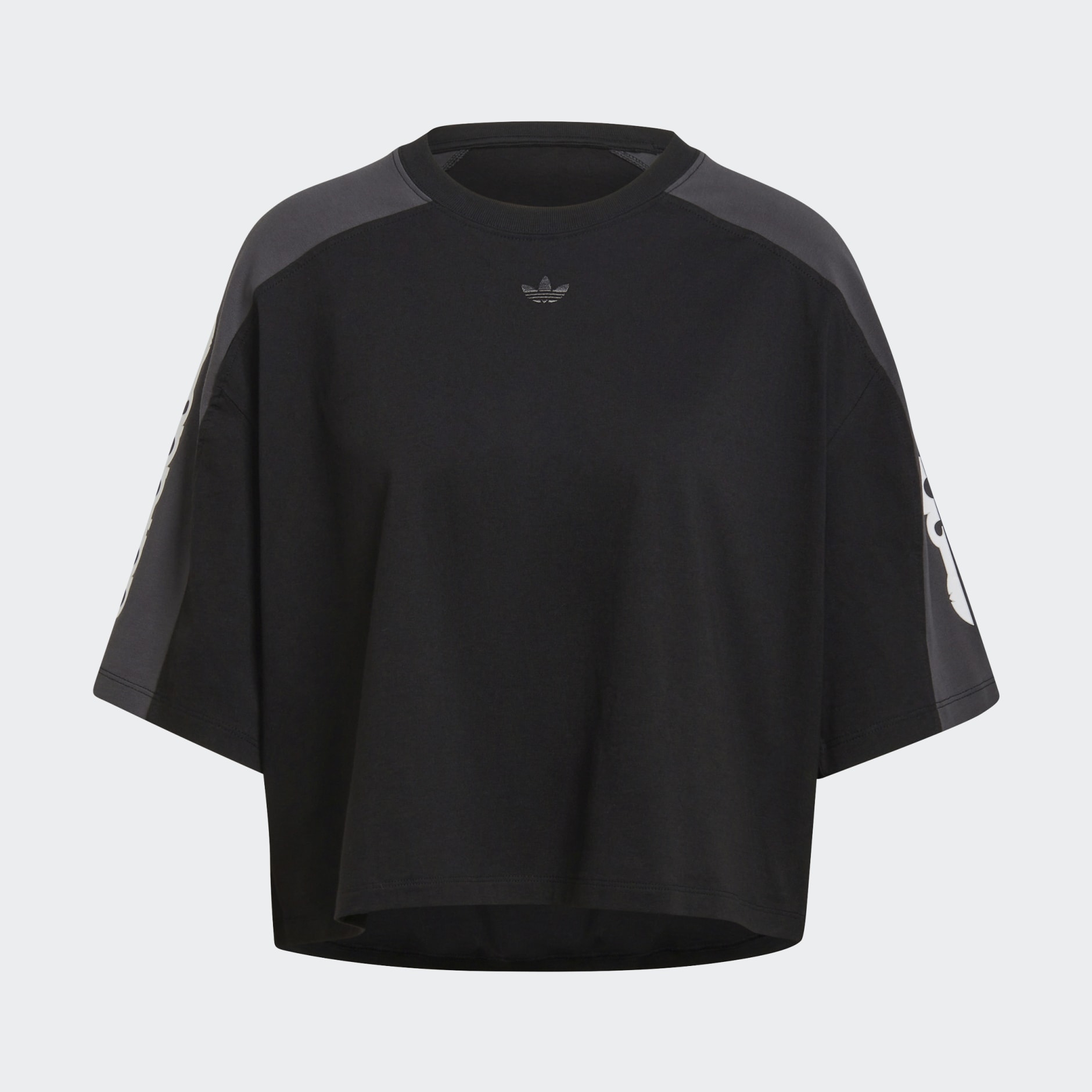 Blocked Graphic Crop Tee