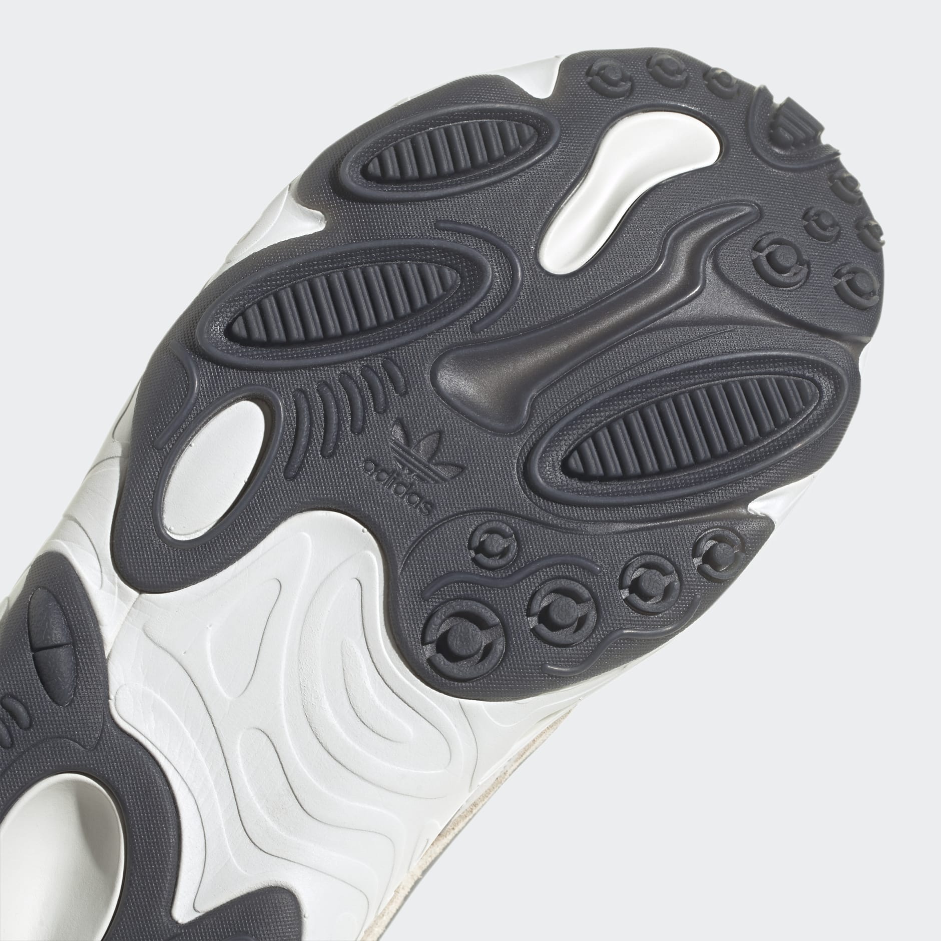 OZNOVA Shoes