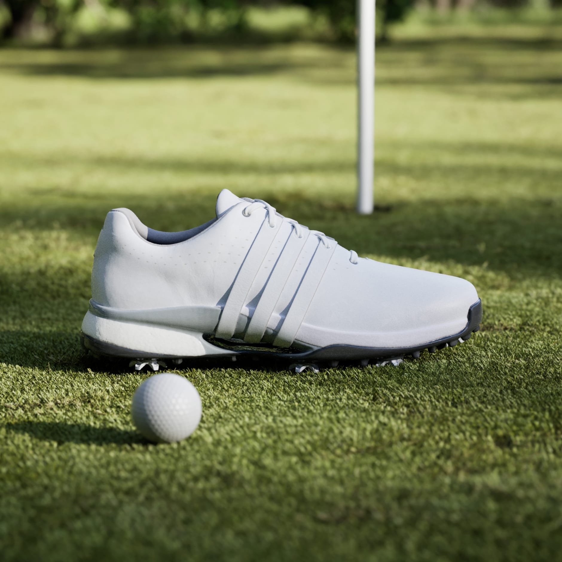 Pantofi de golf Tour360 24