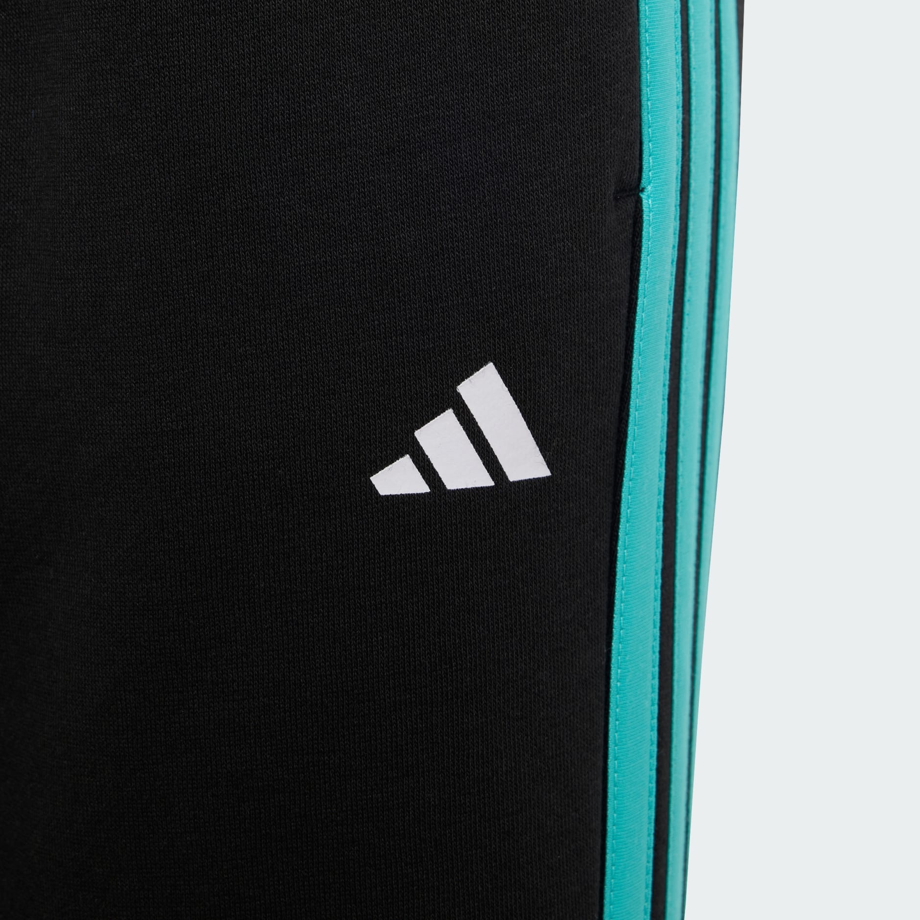 MERCEDES - AMG PETRONAS FORMULA 1 TEAM DNA PANT