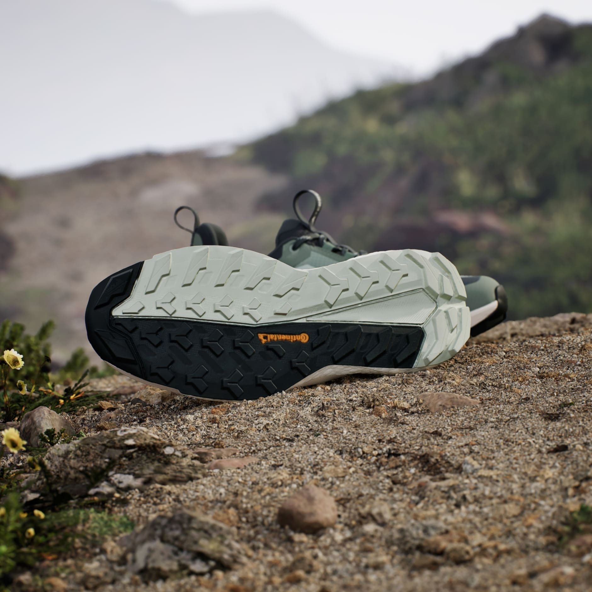 Pantofi de hiking Terrex Free Hiker 2.0 Low Gore-Tex