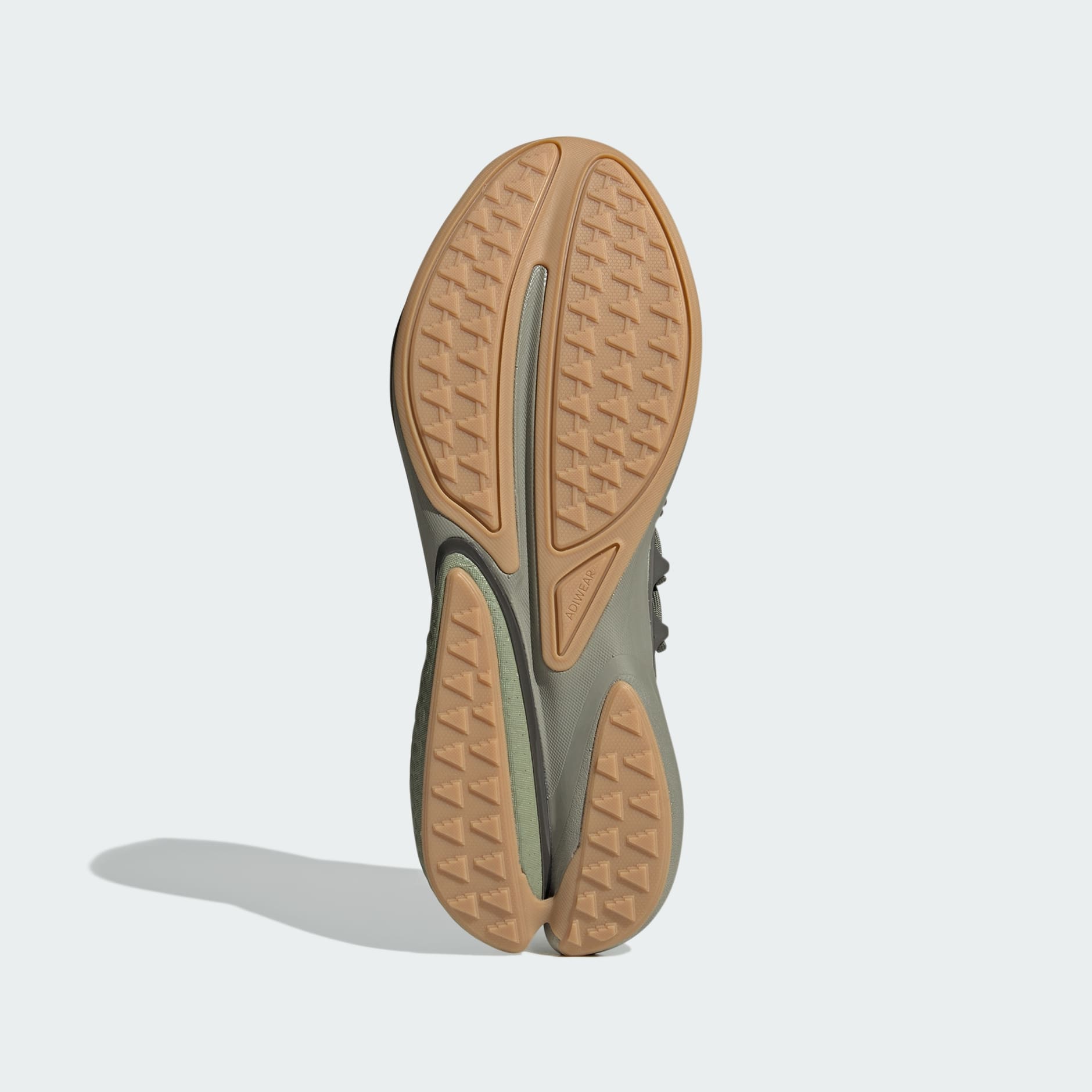 Alphaboost V2 Shoes