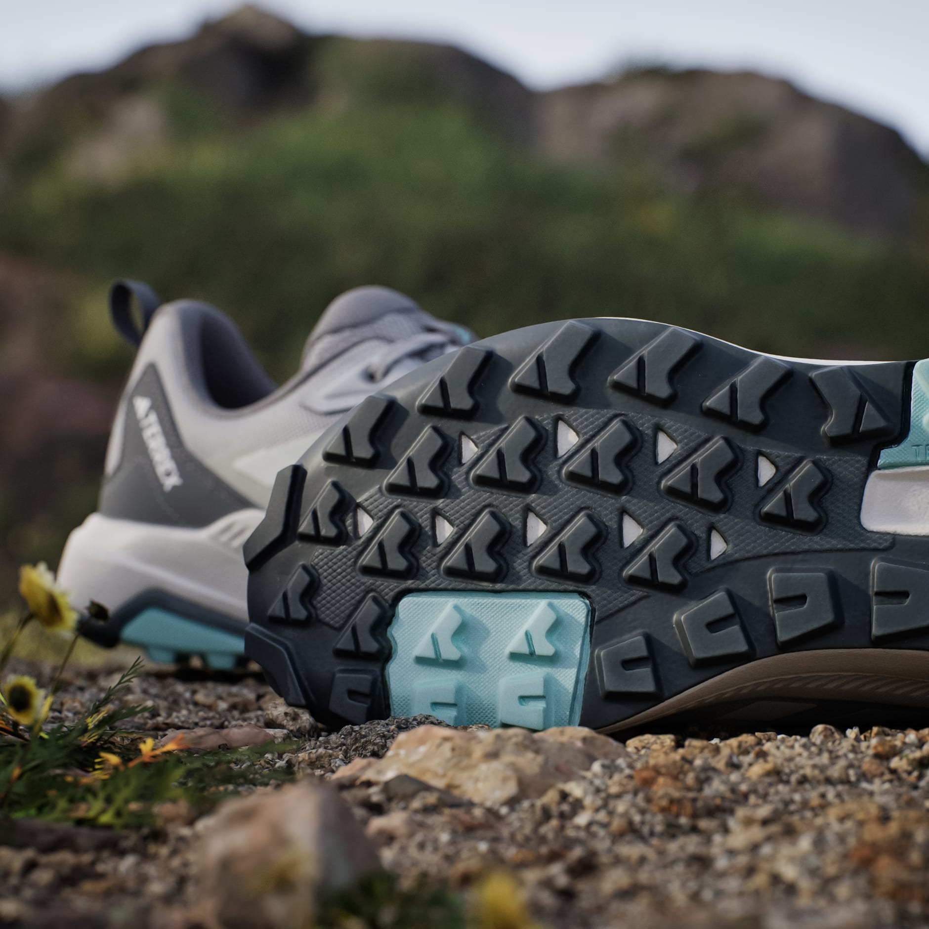 Pantofi de drumeție Terrex Anylander