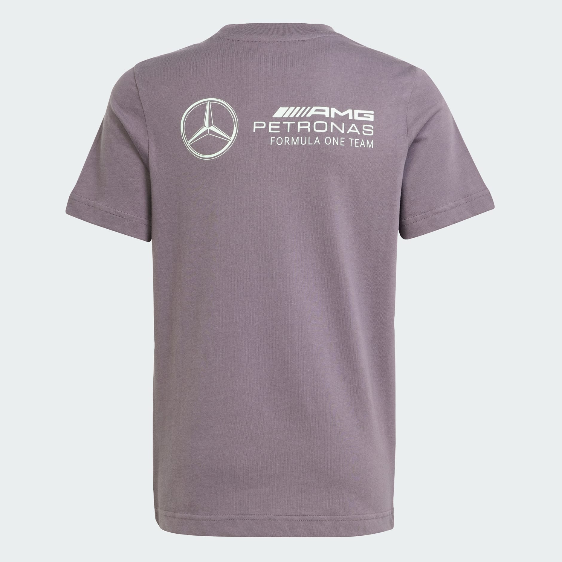 MAJICA MERCEDES - AMG PETRONAS FORMULA ONE TEAM PREMIUM WOVEN GRAPHIC