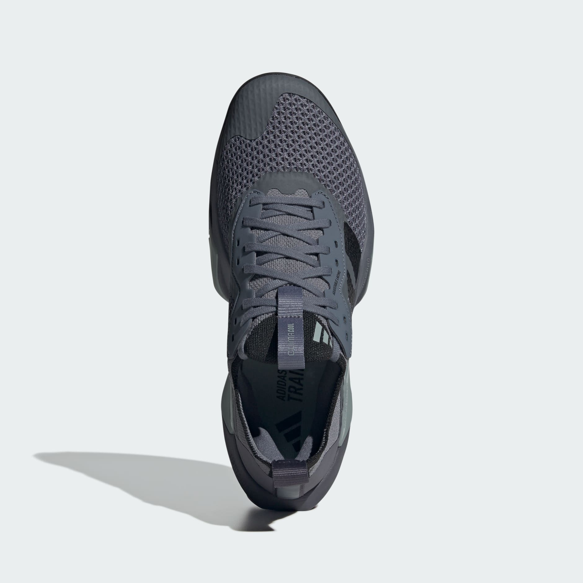 Rapidmove ADV 2 Training Shoes